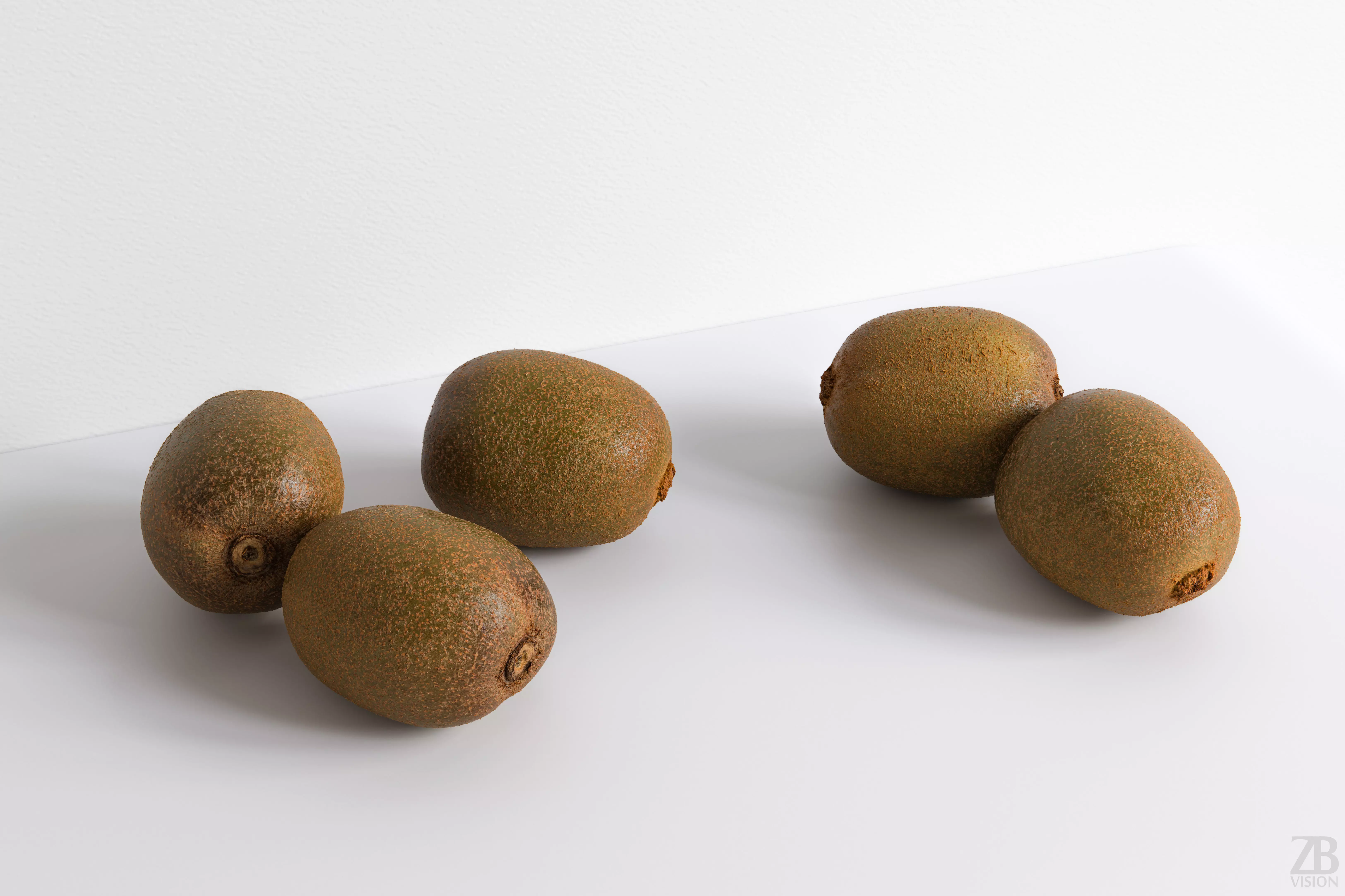Kiwi  3D model_0