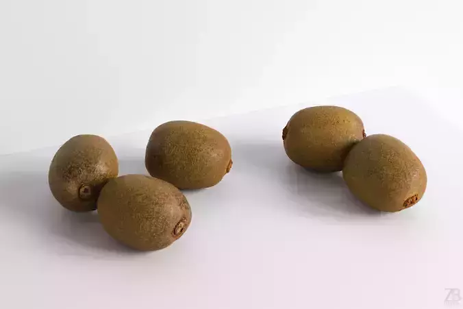 Kiwi  3D model