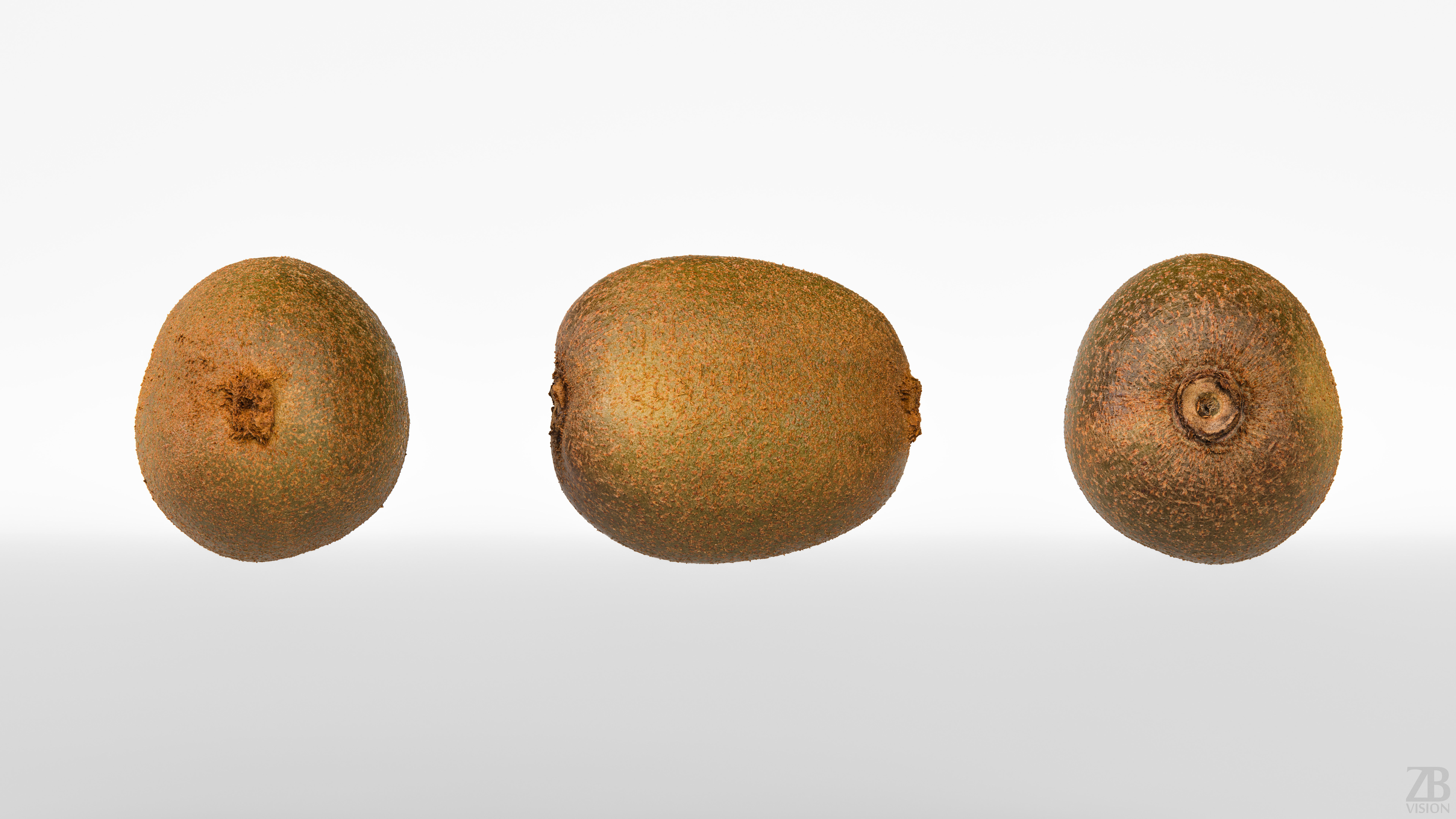 Kiwi  3D model_4