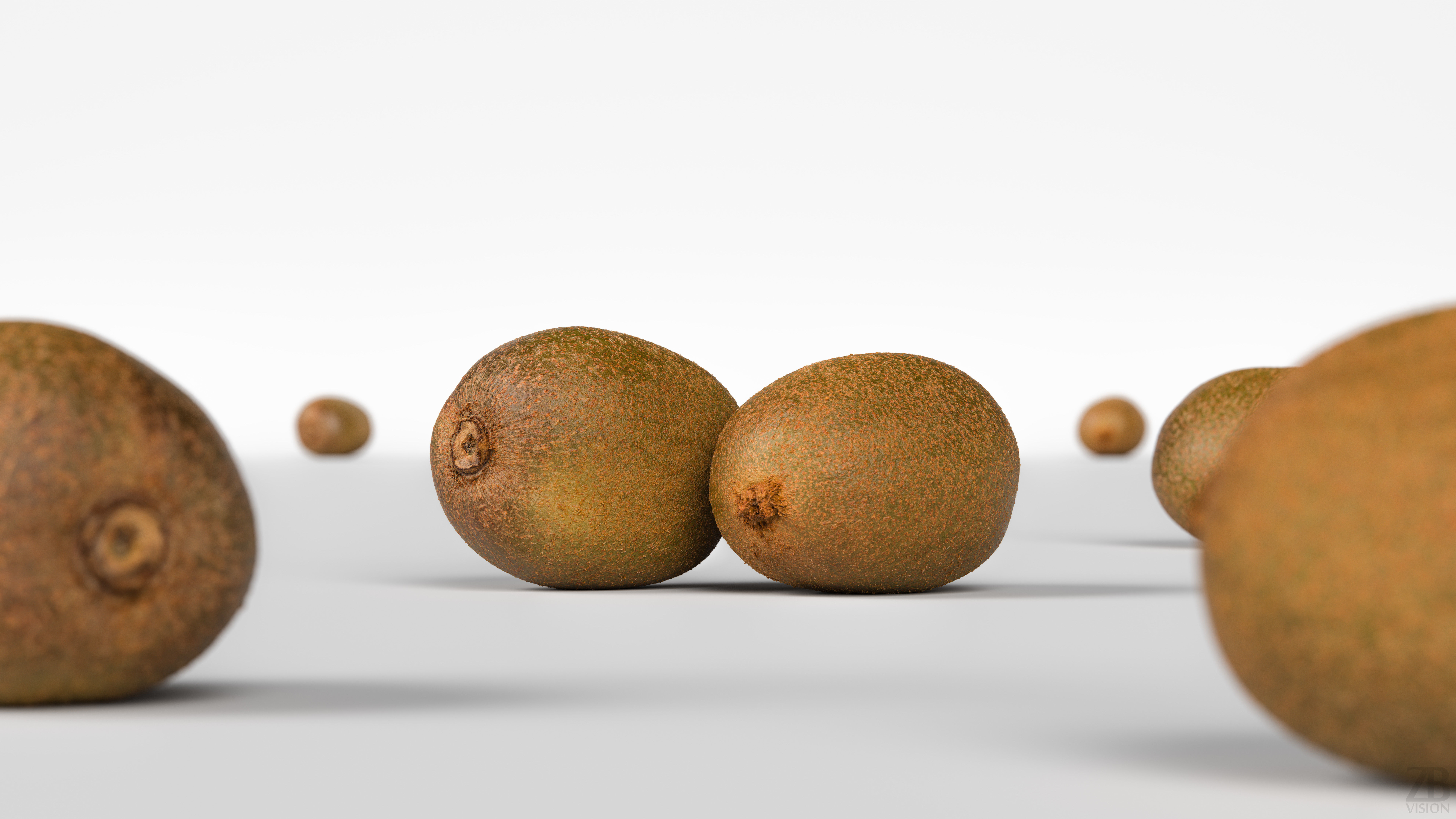 Kiwi  3D model_1