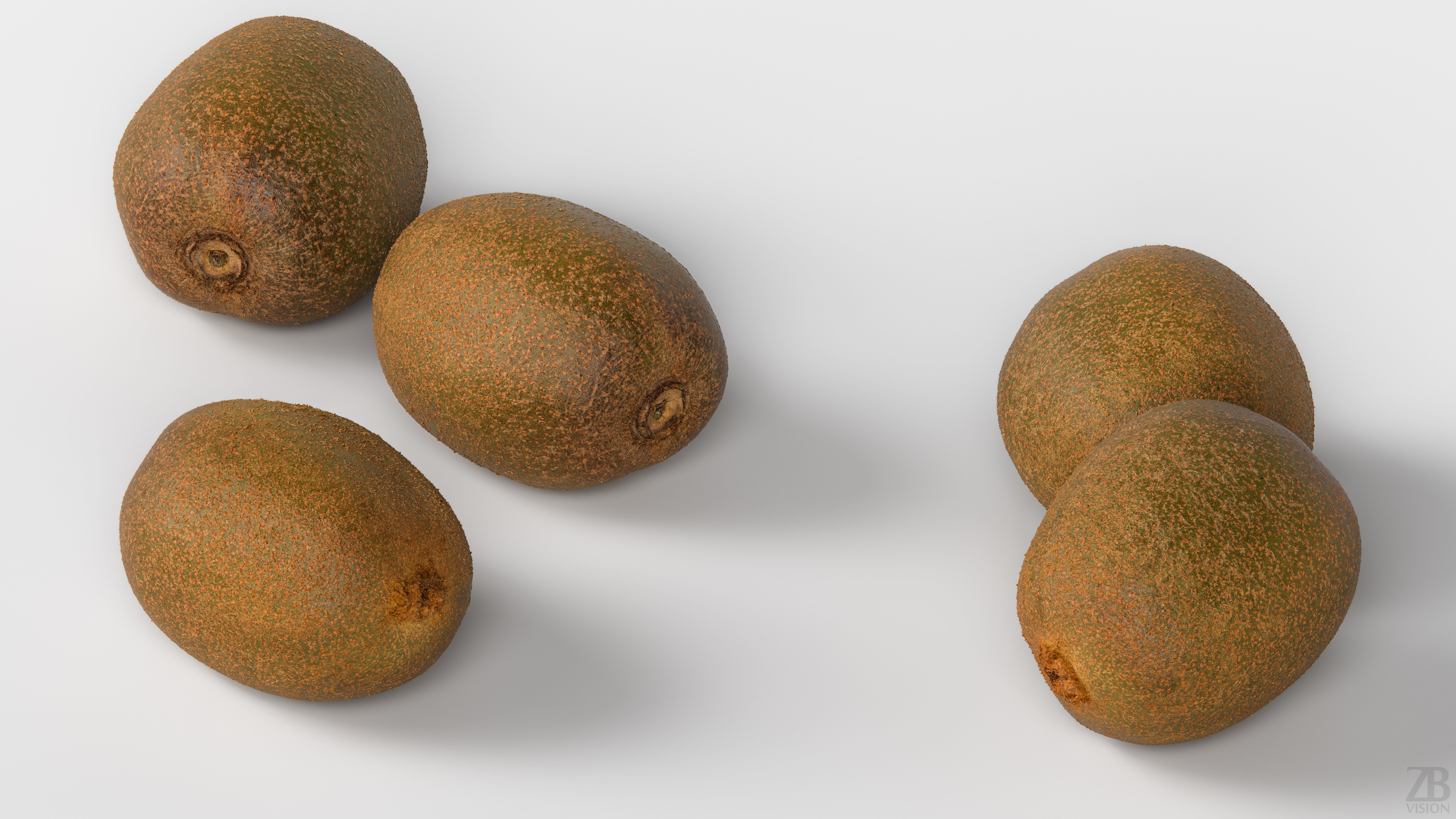 Kiwi  3D model_2