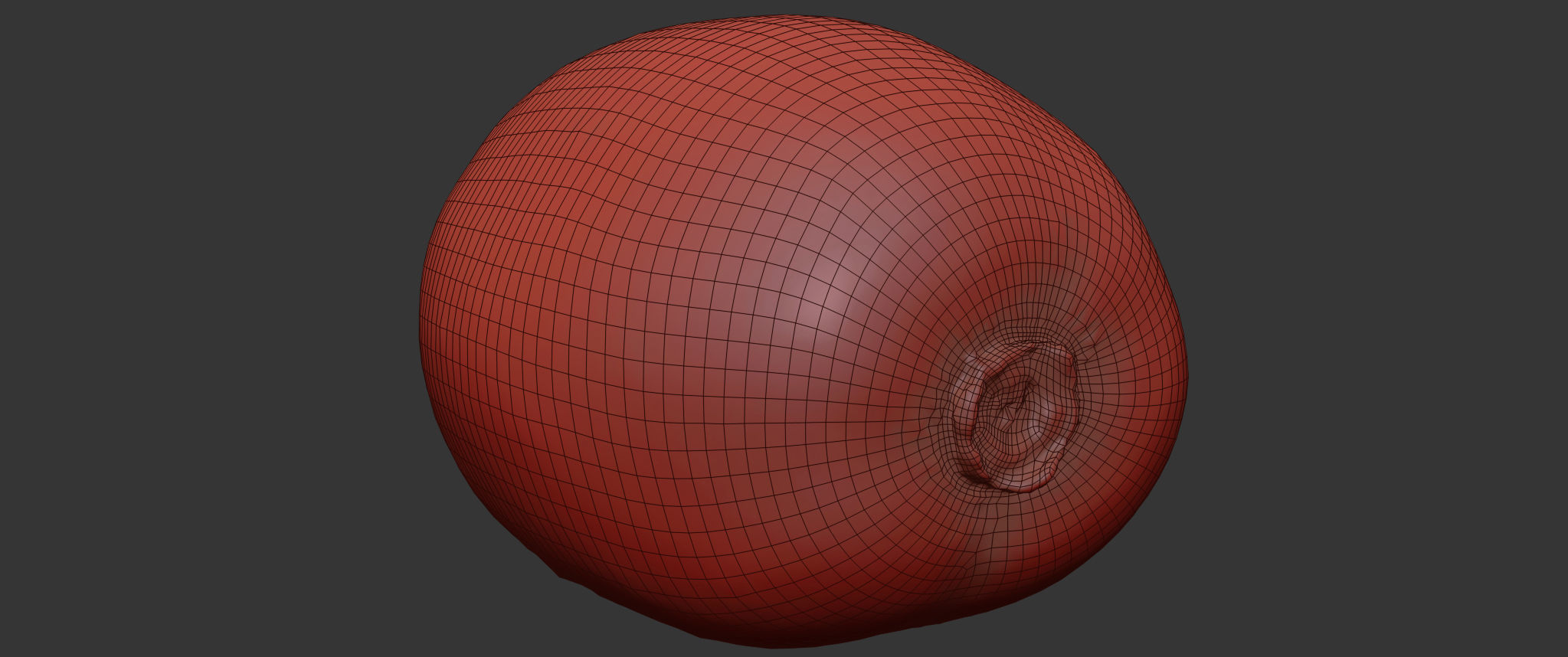Kiwi  3D model_6