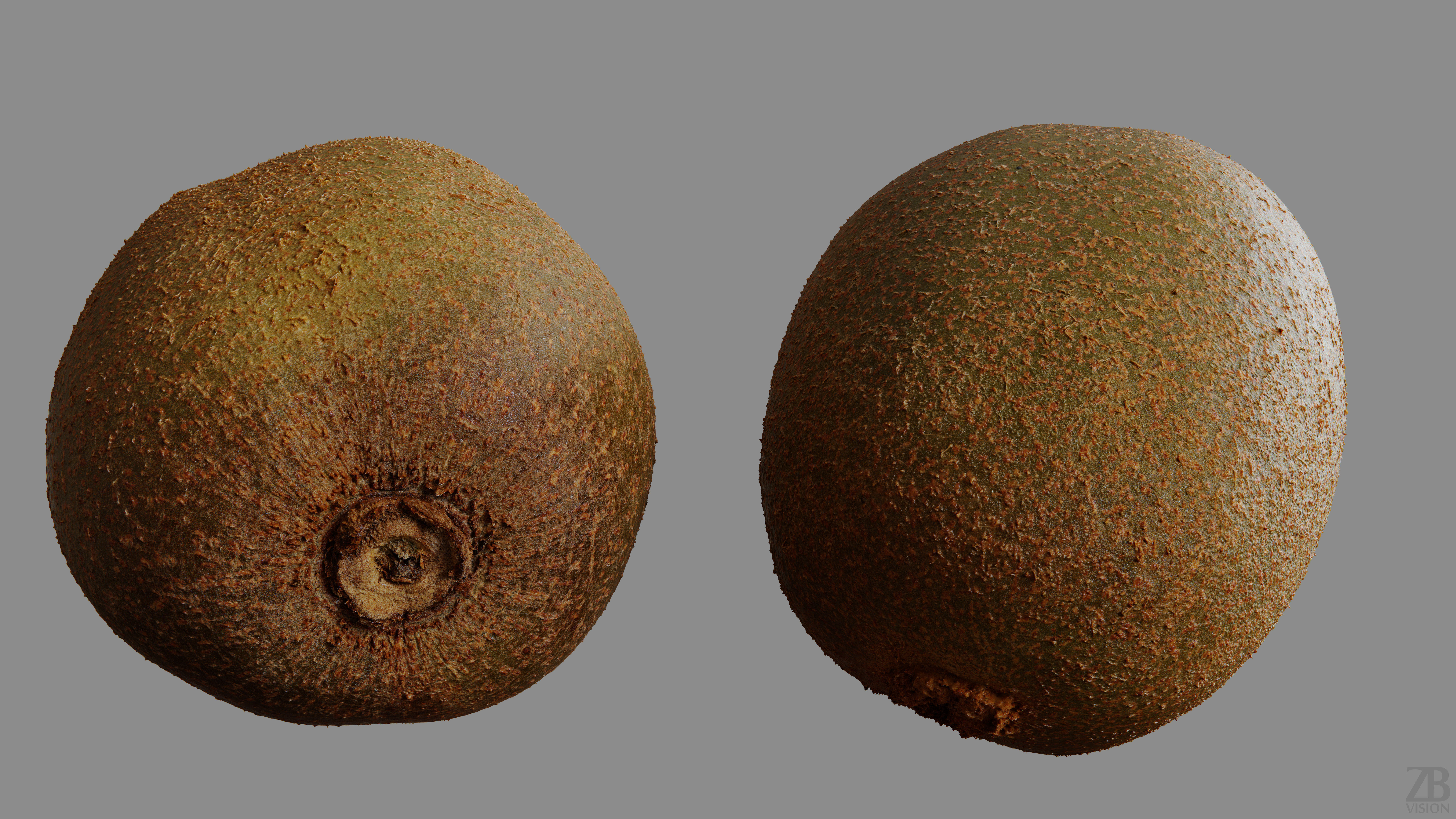 Kiwi  3D model_9