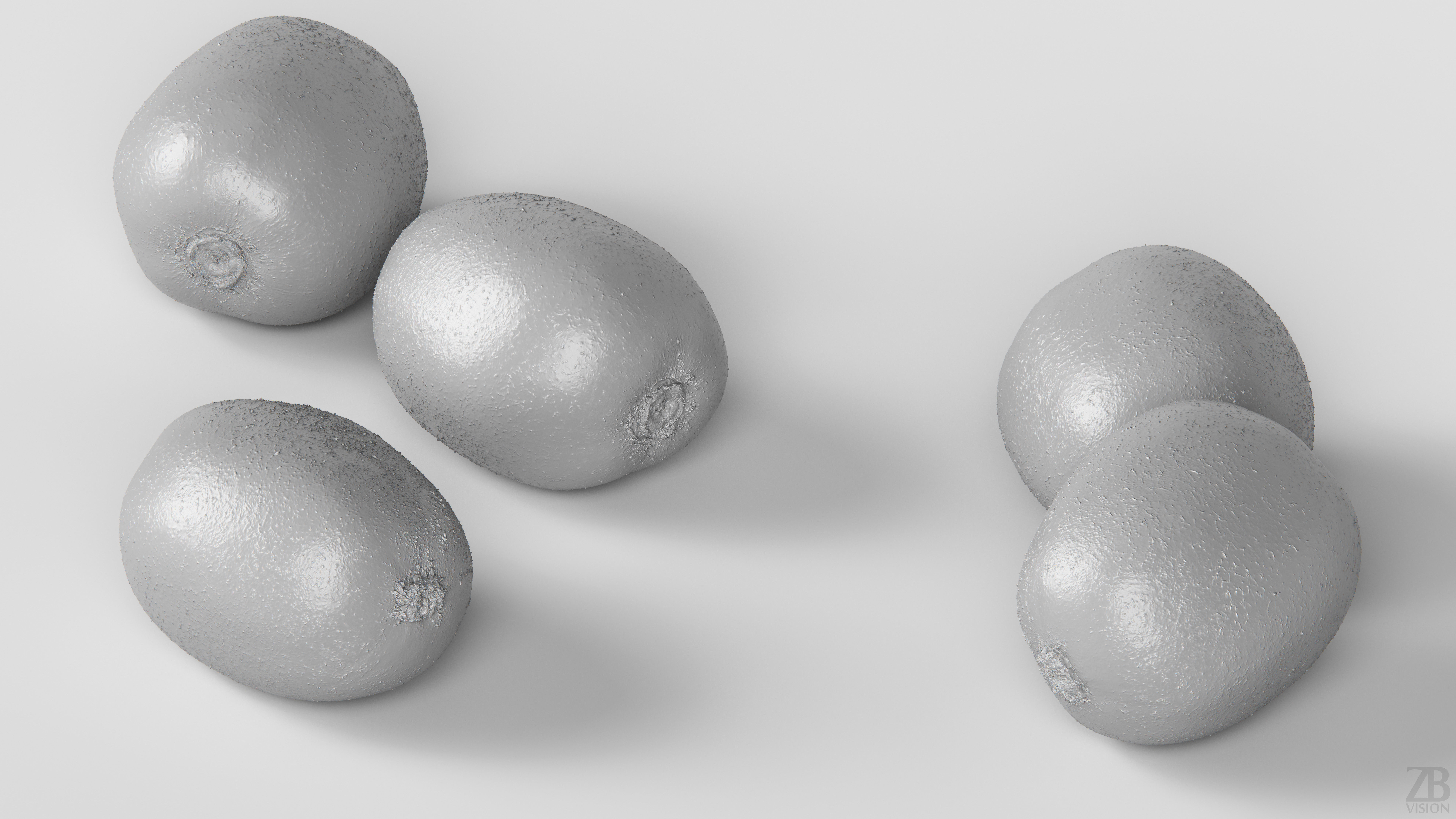 Kiwi  3D model_3