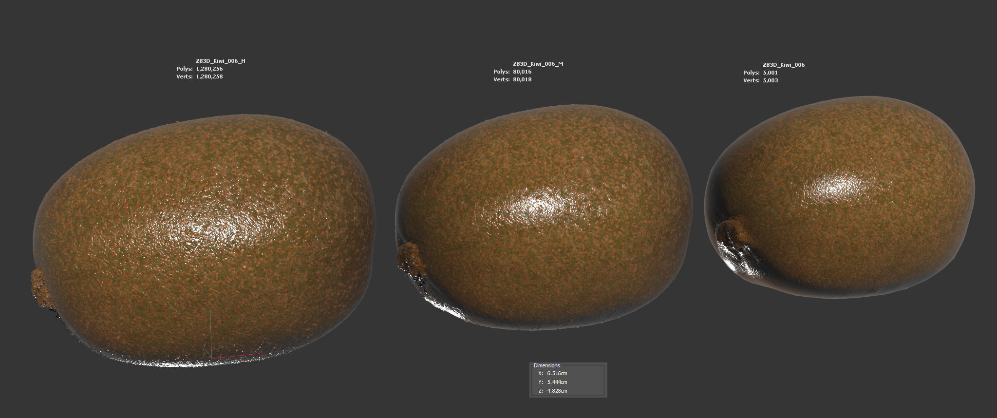 Kiwi  3D model_5