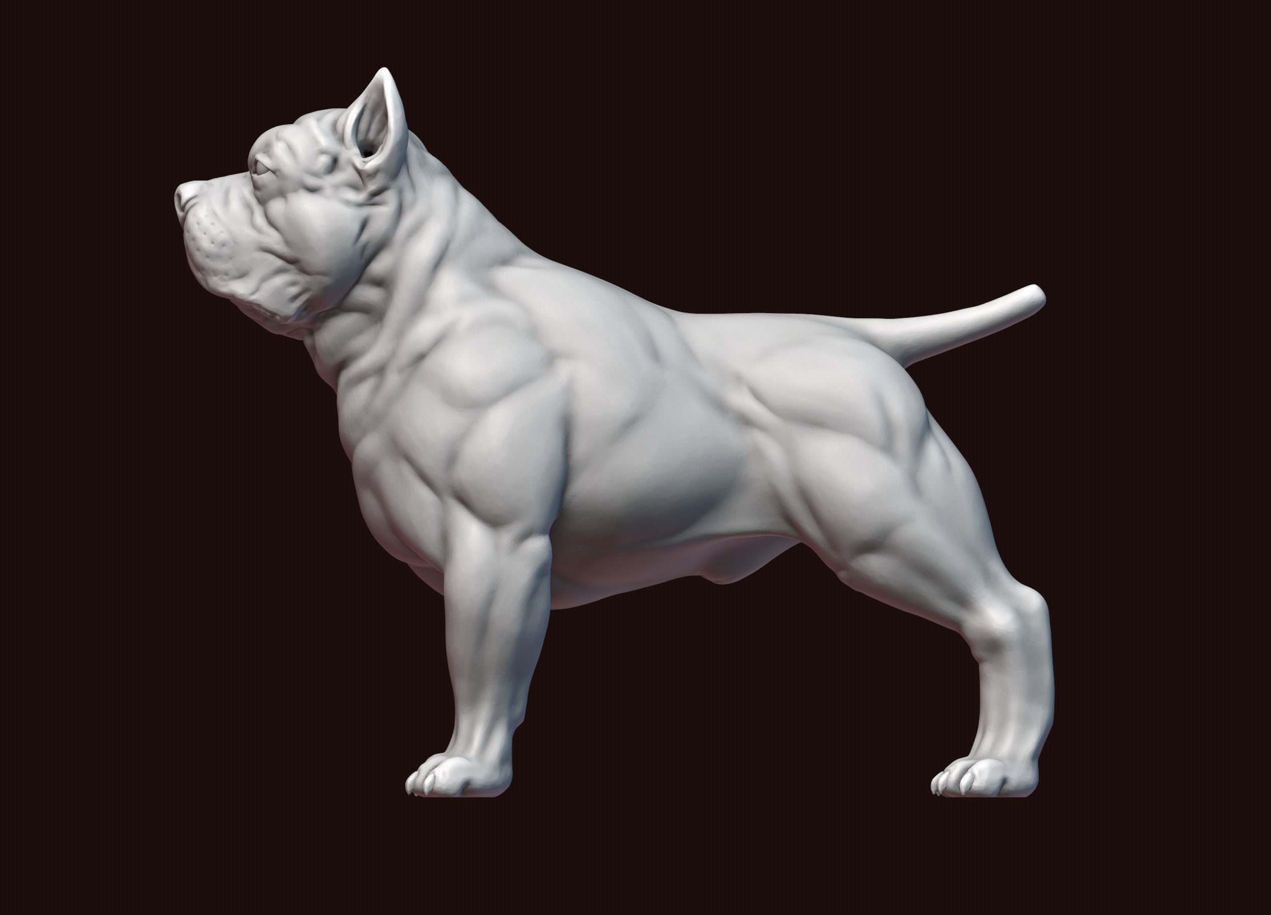 American Bully 3D print model_18