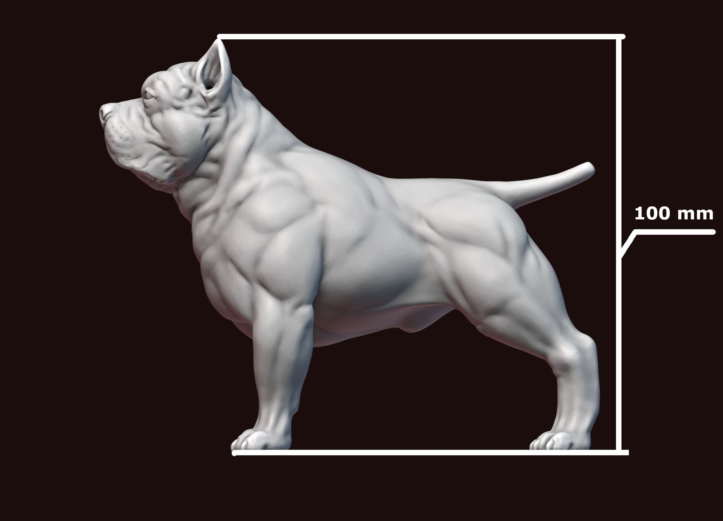 American Bully 3D print model_22
