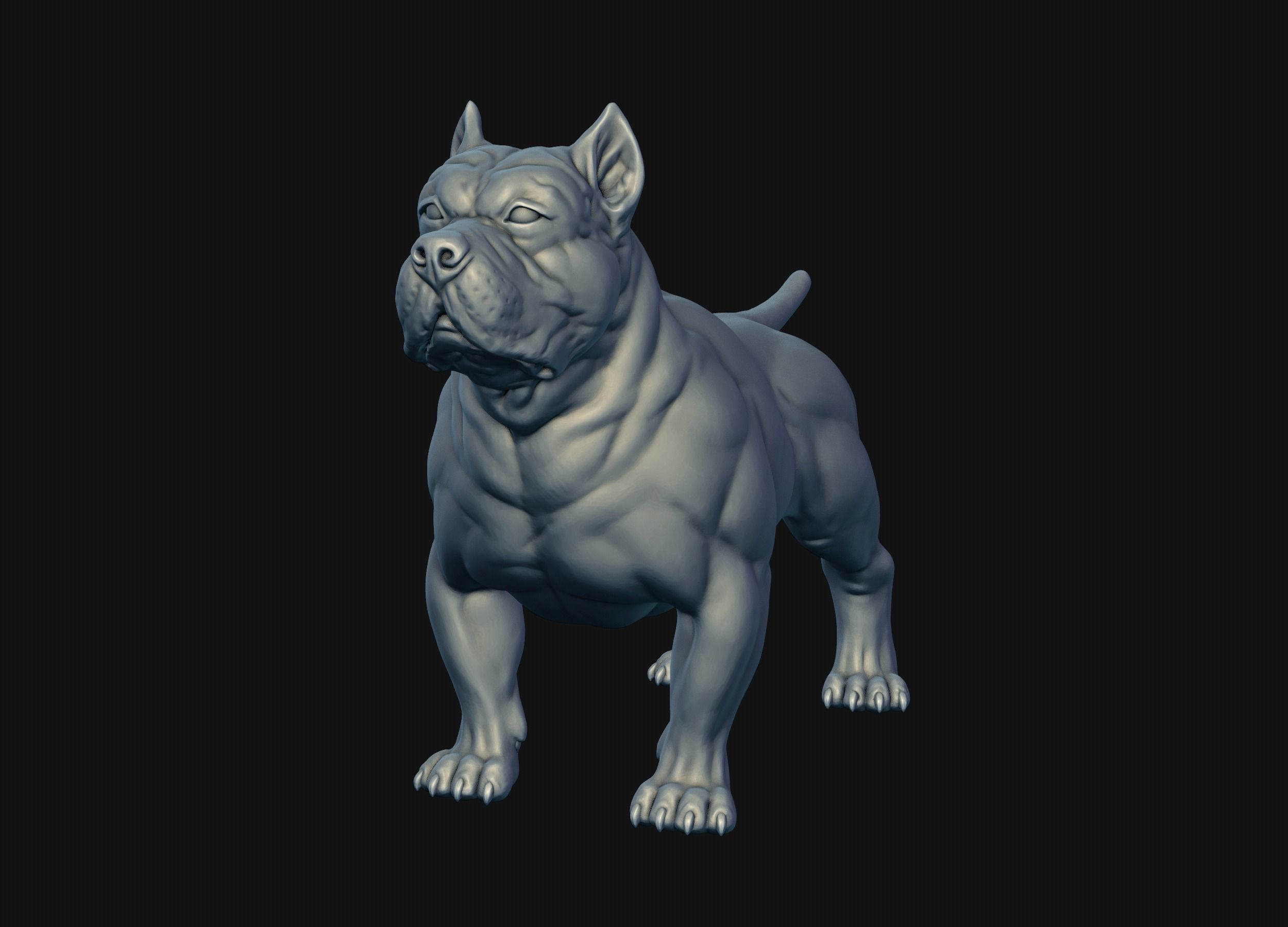 American Bully 3D print model_29