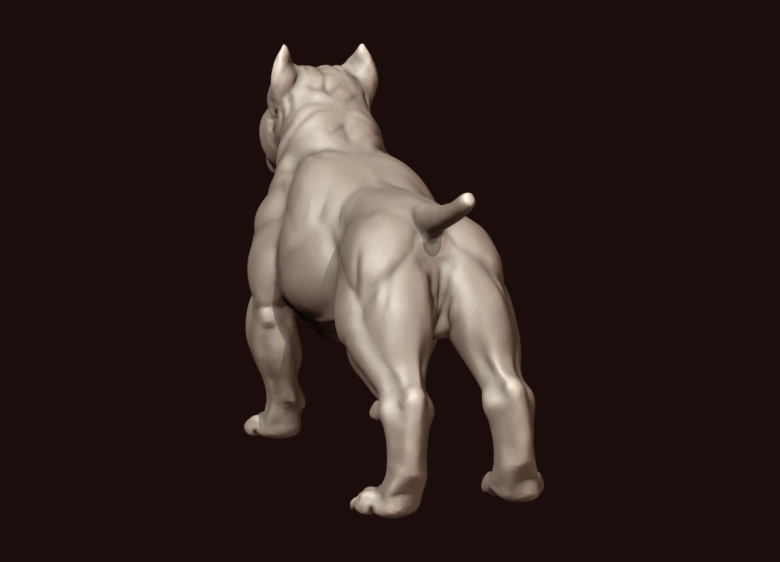 American Bully 3D print model_5