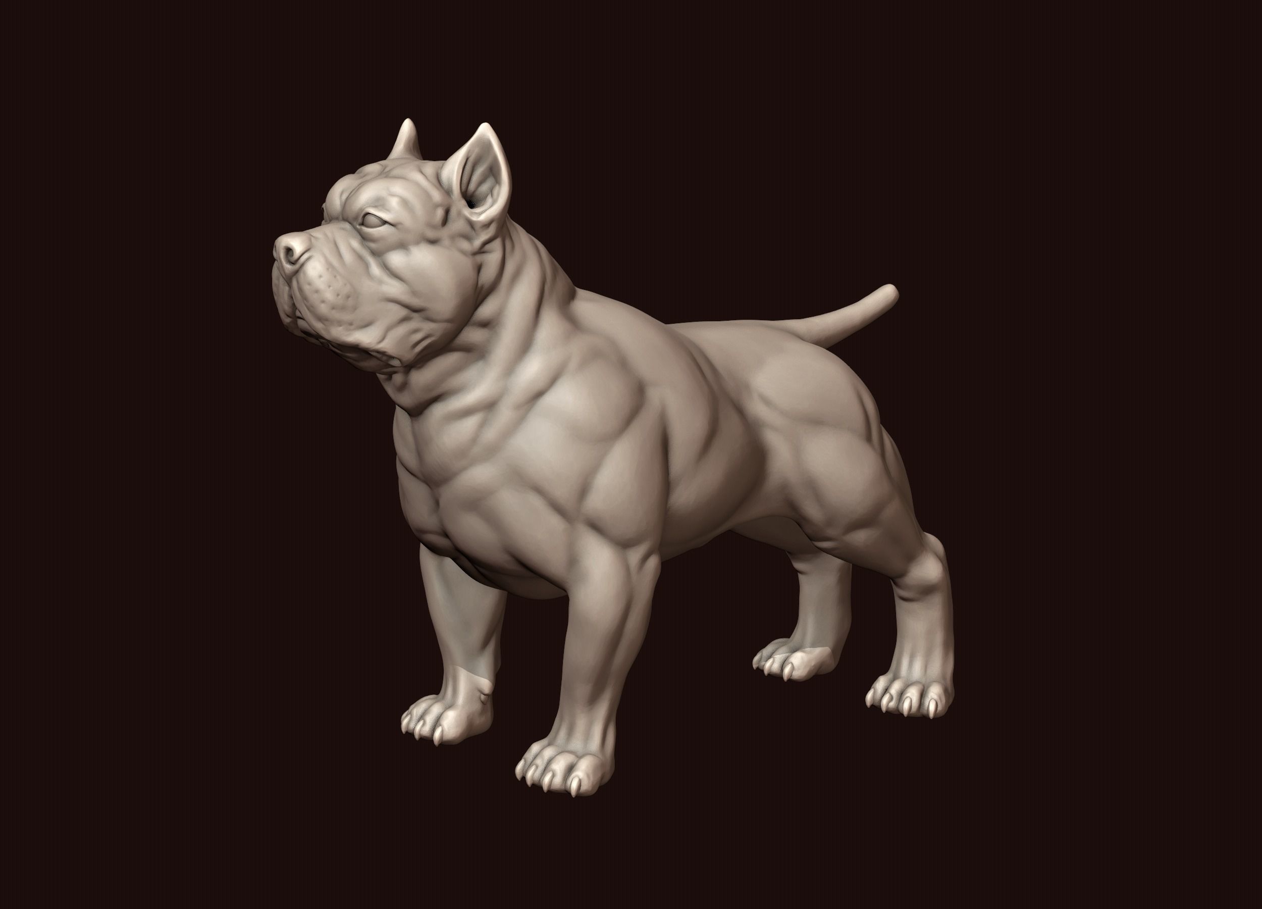 American Bully 3D print model_2