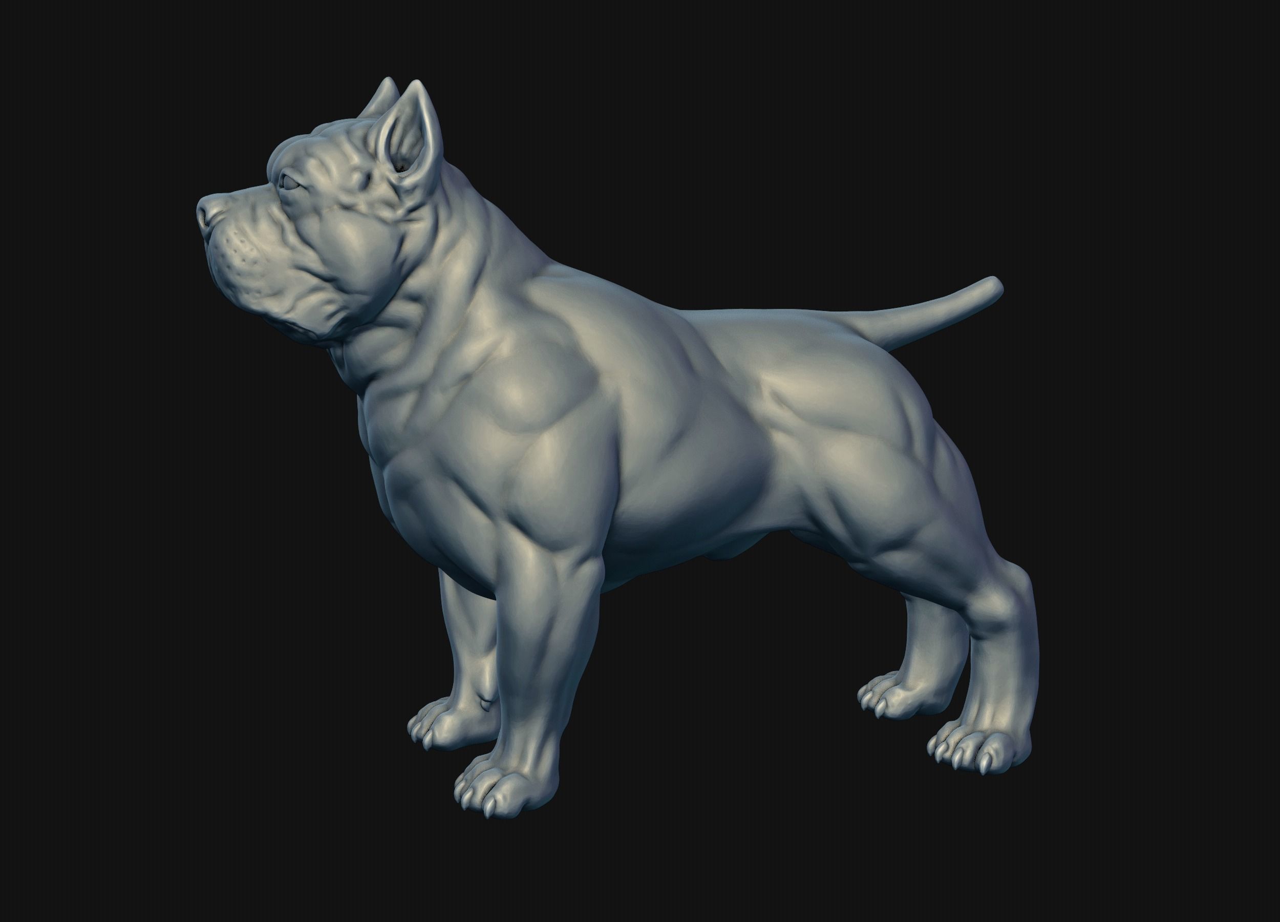 American Bully 3D print model_30