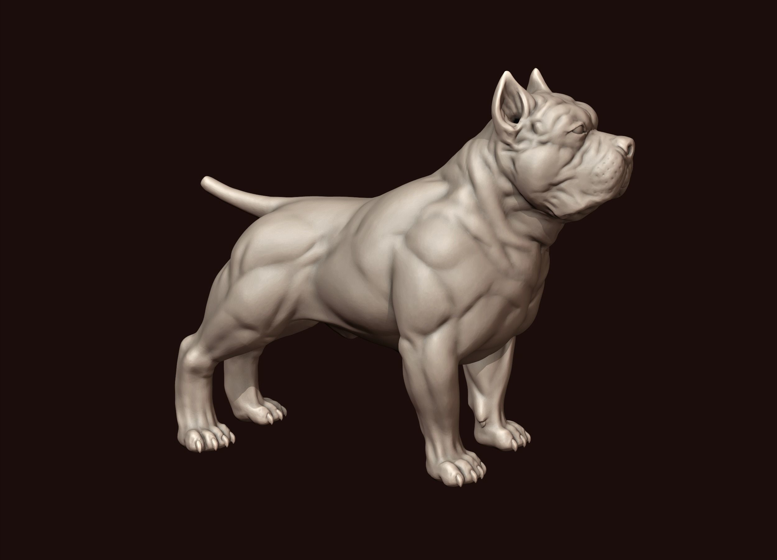 American Bully 3D print model_8