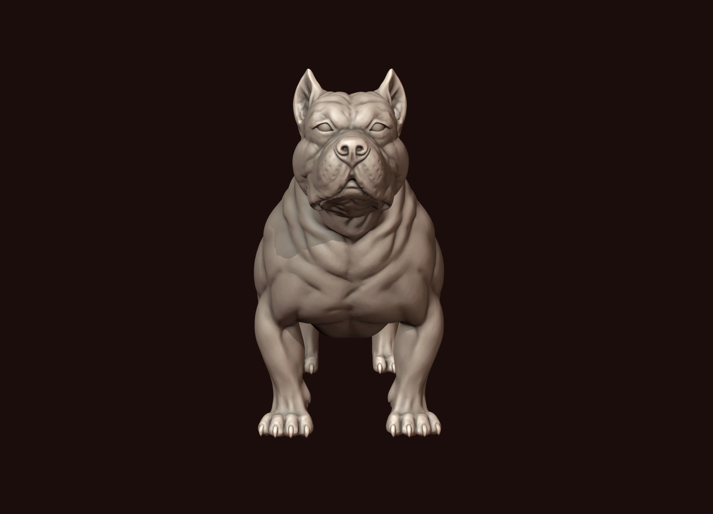 American Bully 3D print model_10