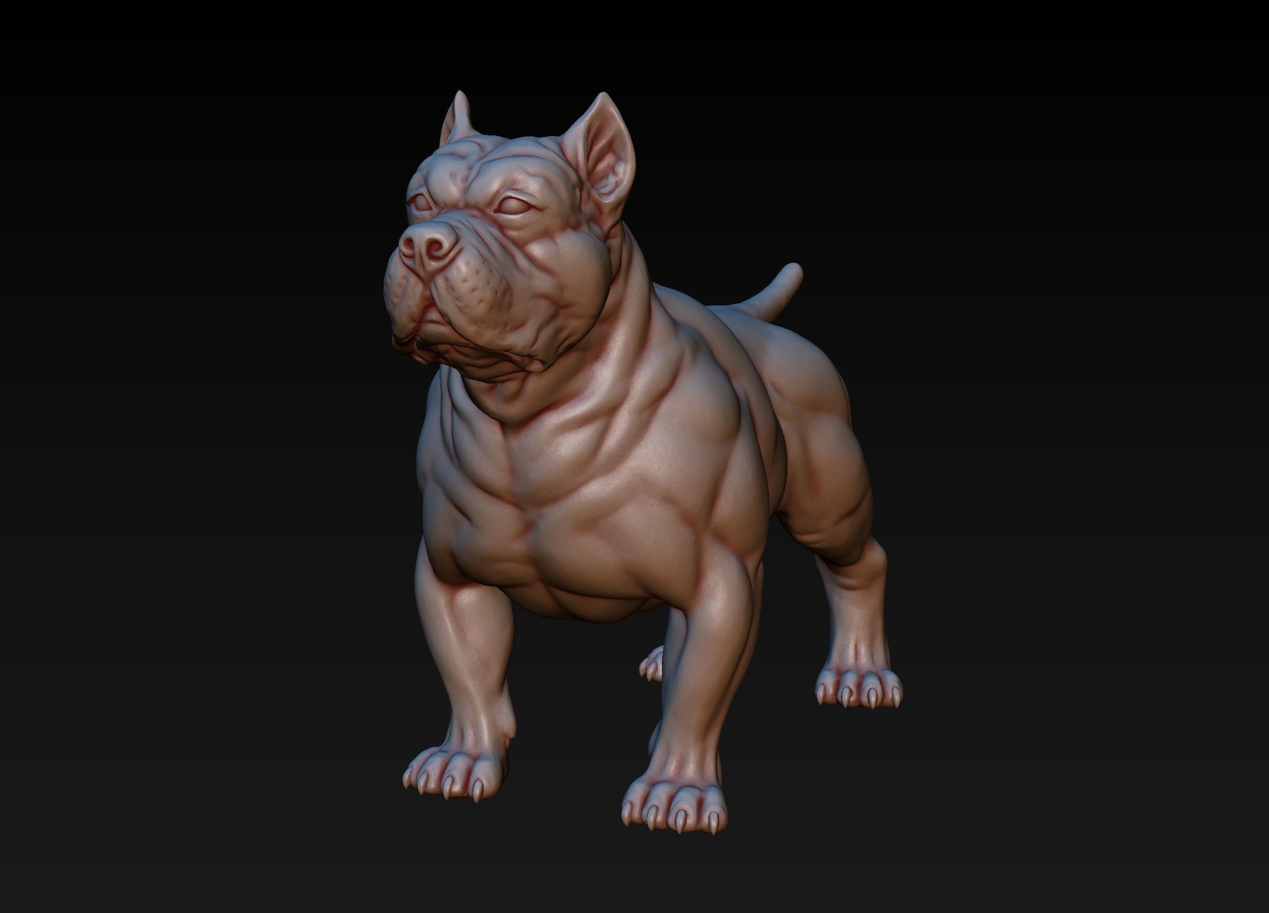 American Bully 3D print model_28