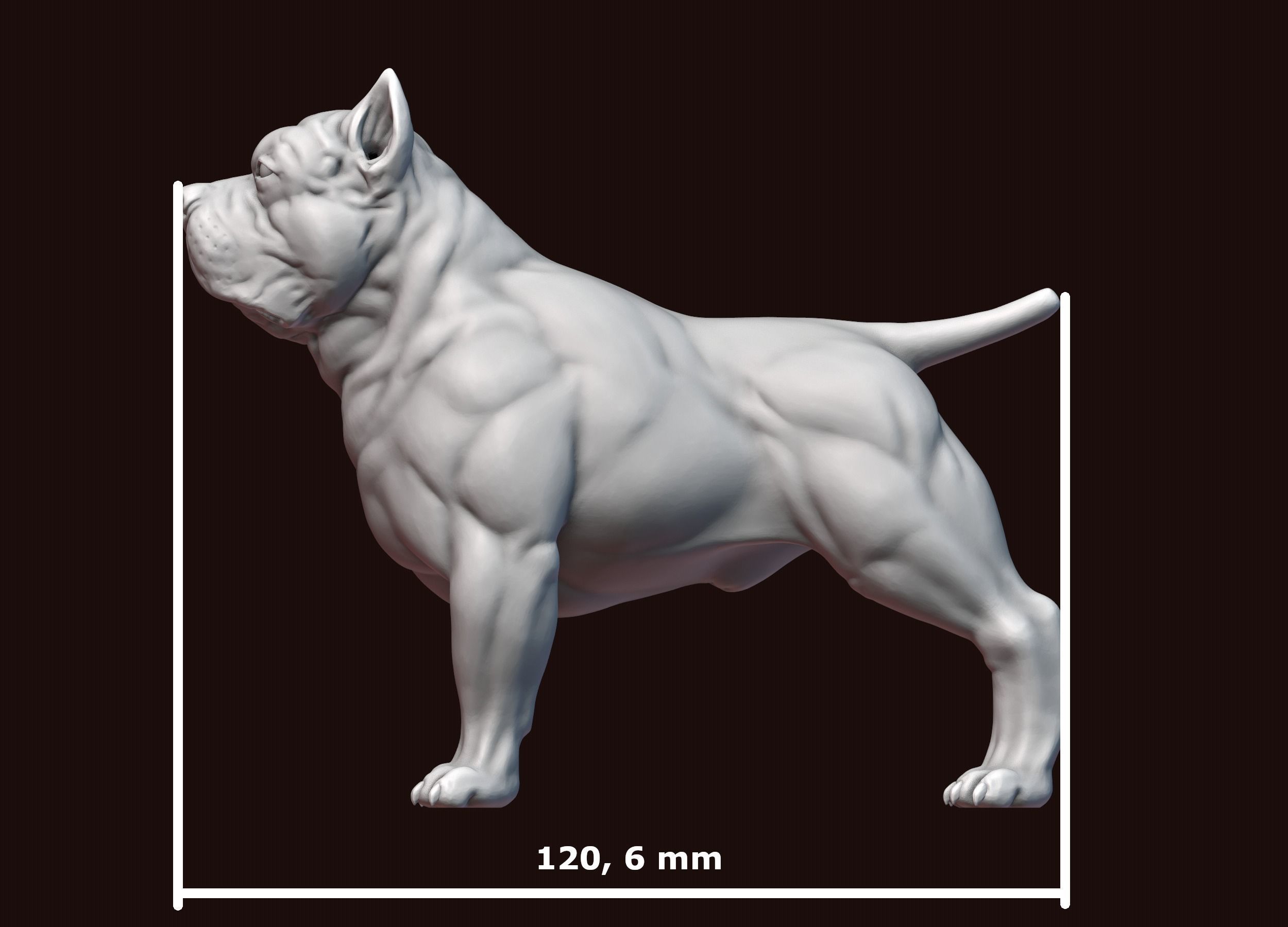 American Bully 3D print model_23