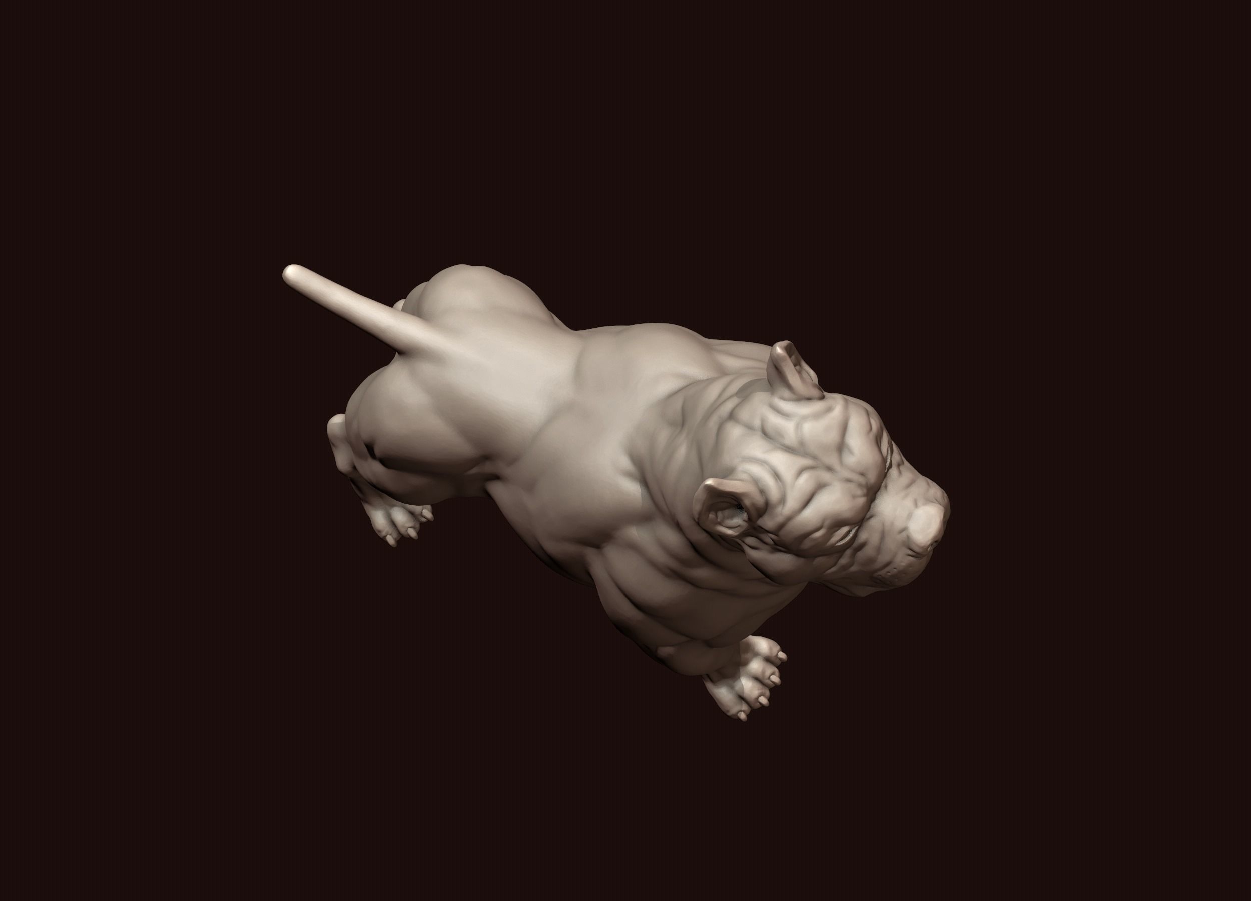 American Bully 3D print model_12