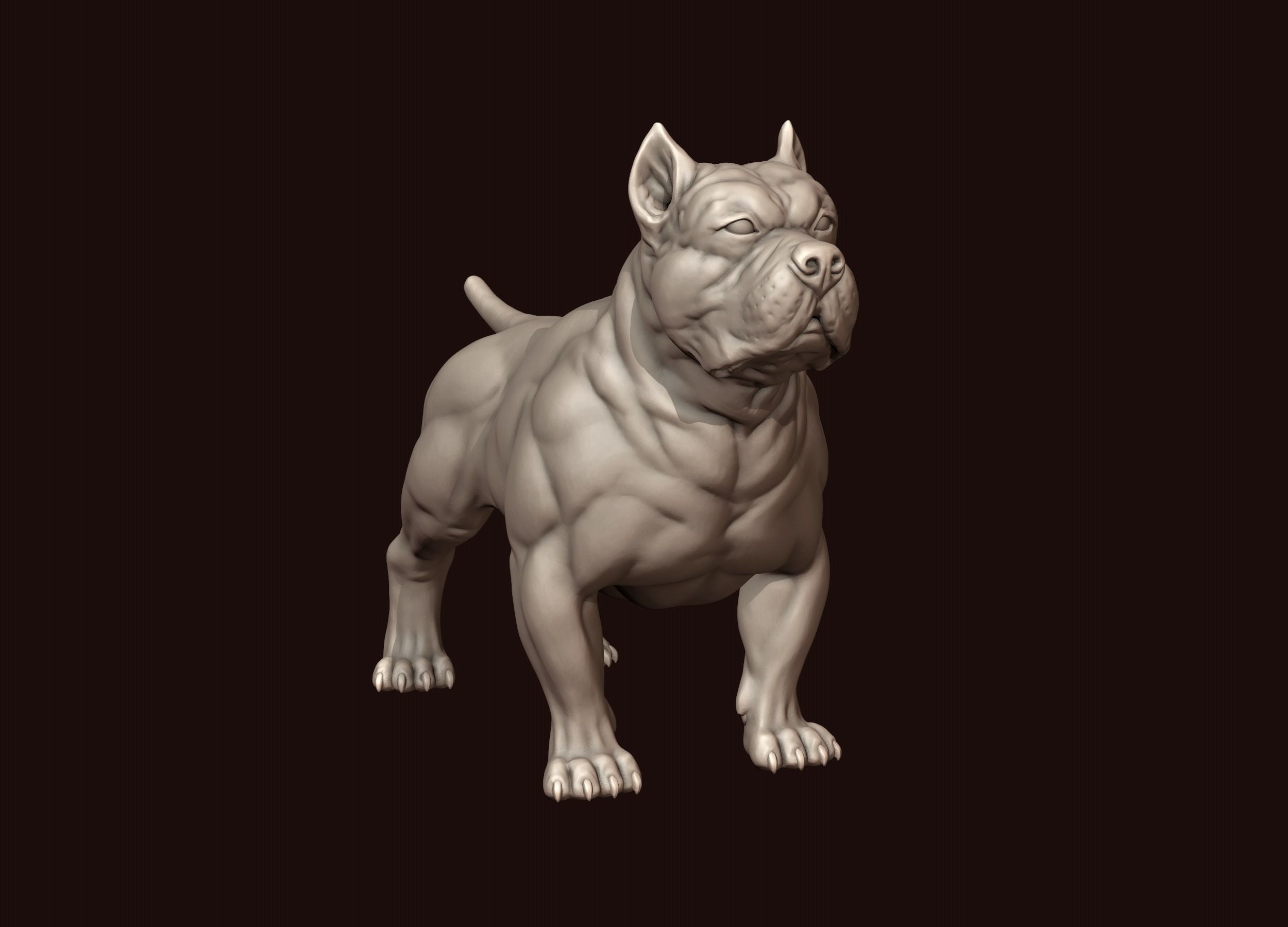 American Bully 3D print model_9