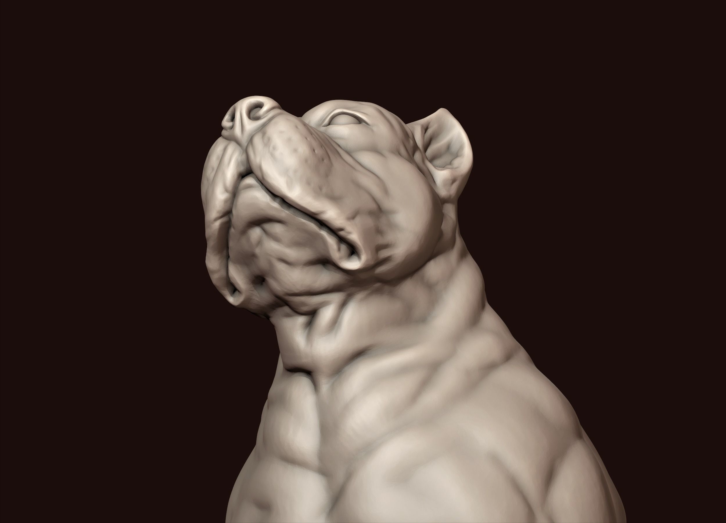 American Bully 3D print model_16