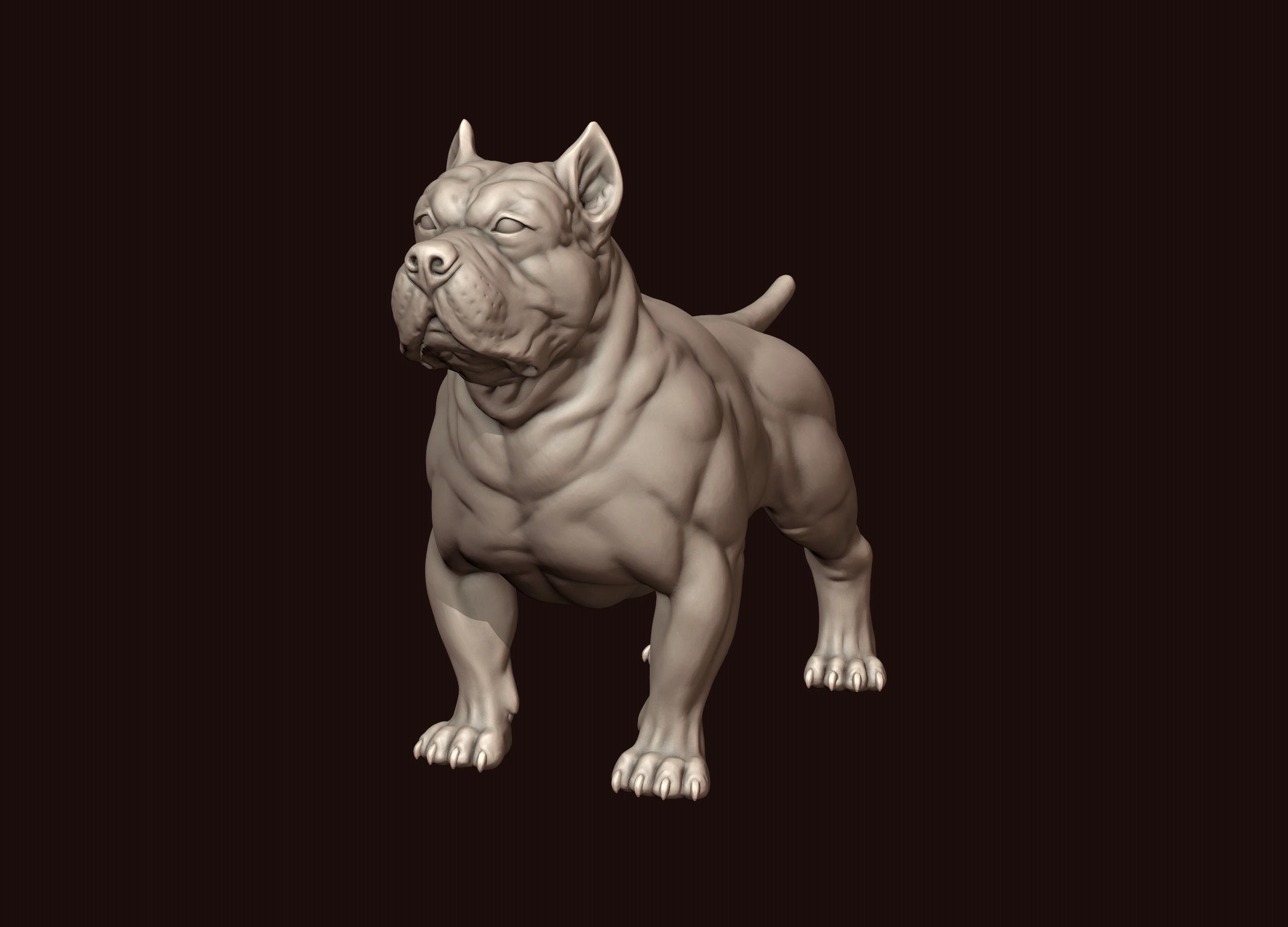 American Bully 3D print model_1