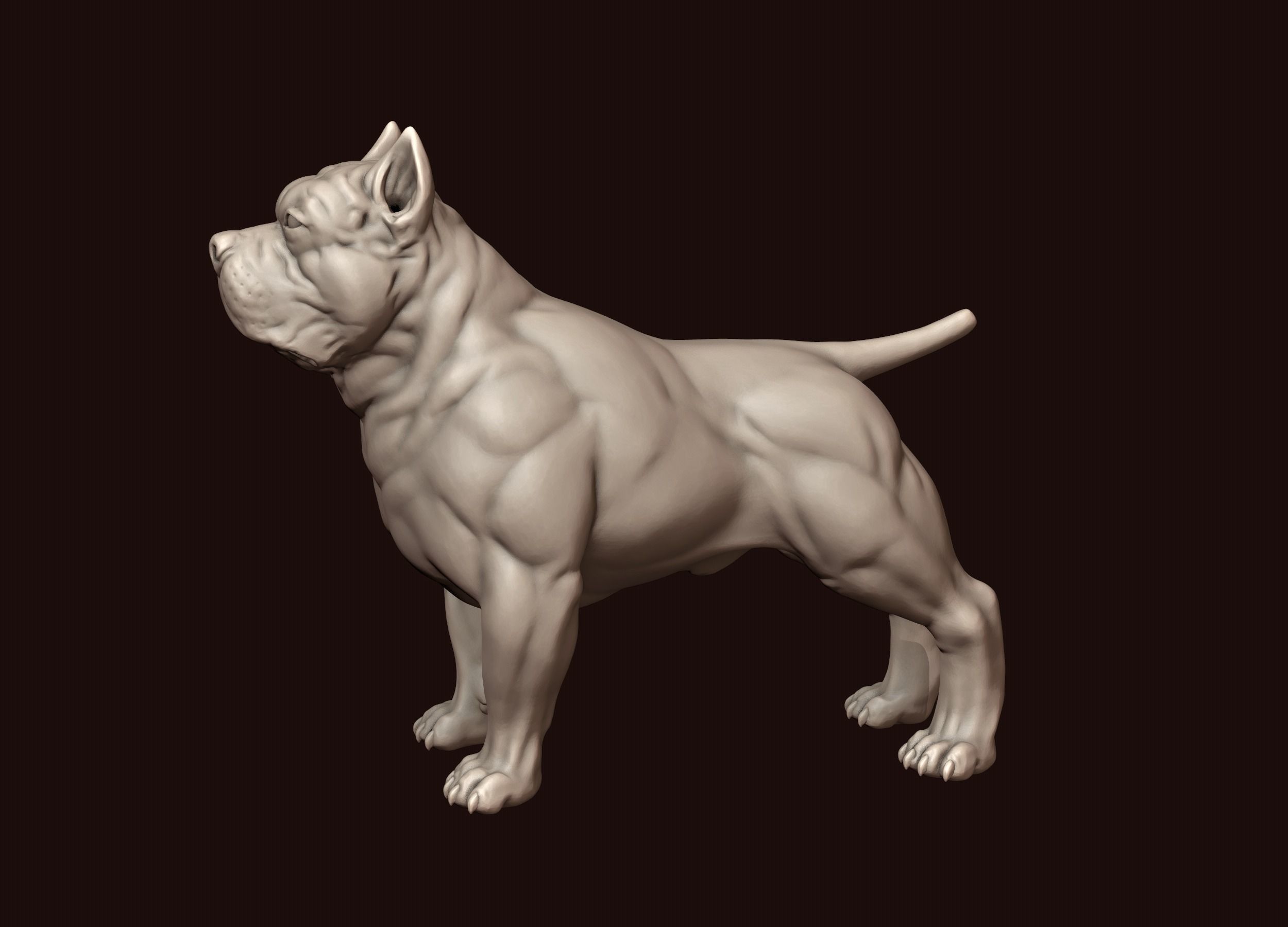 American Bully 3D print model_3