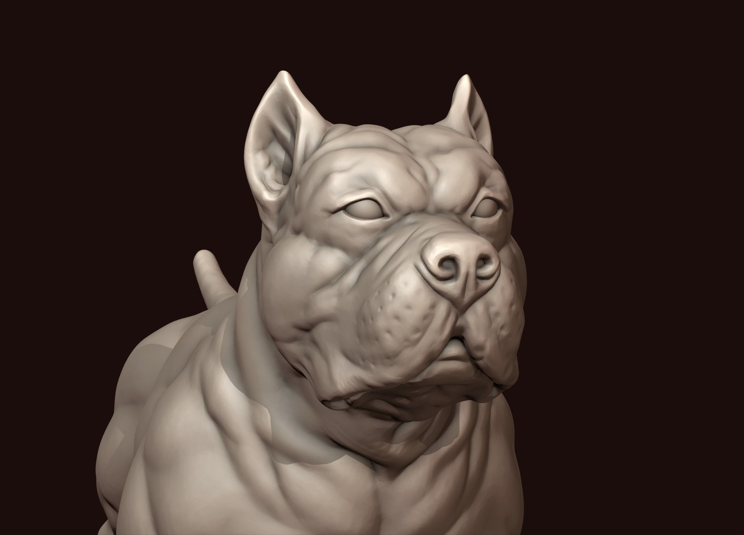American Bully 3D print model_14