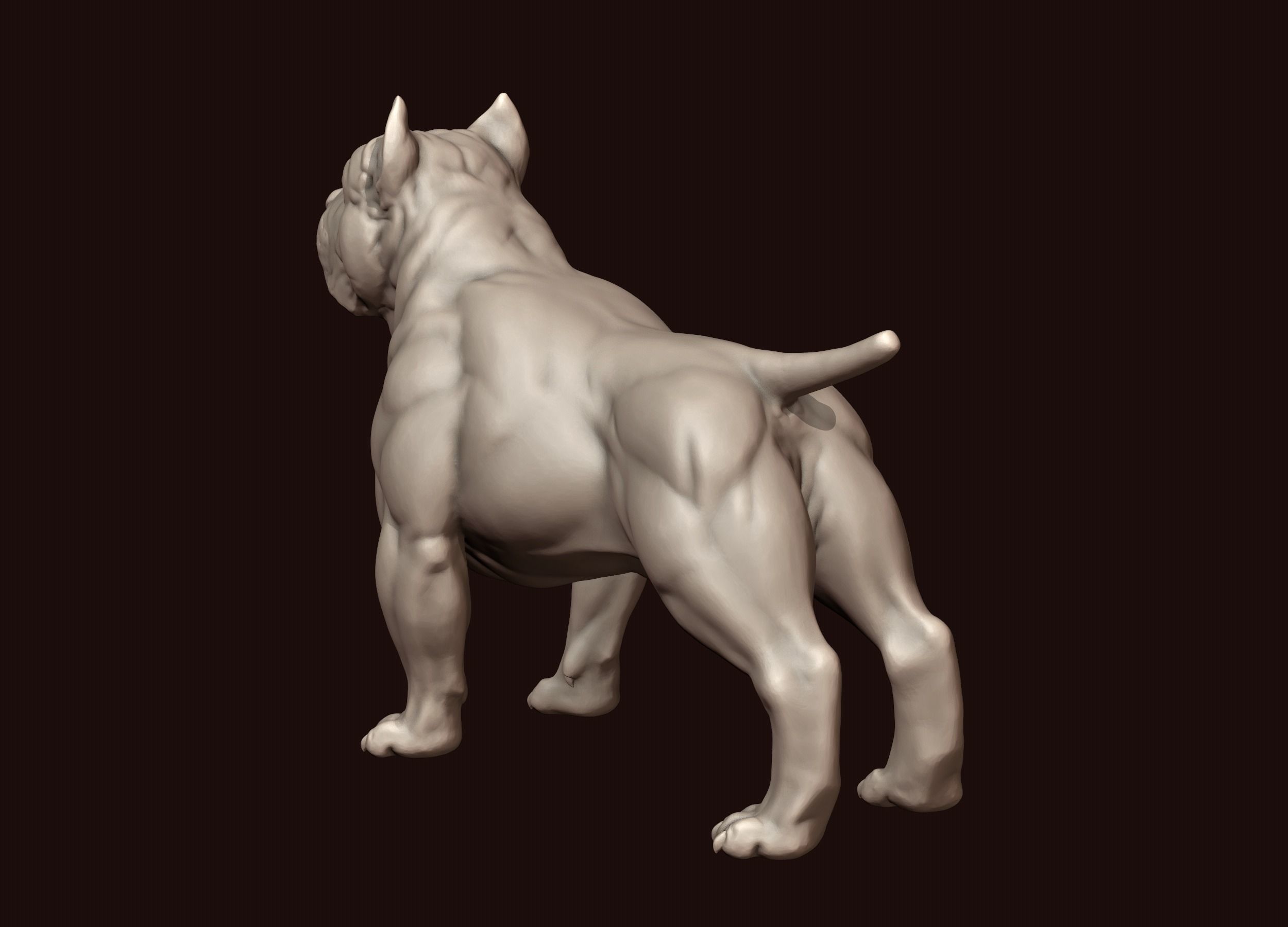 American Bully 3D print model_4