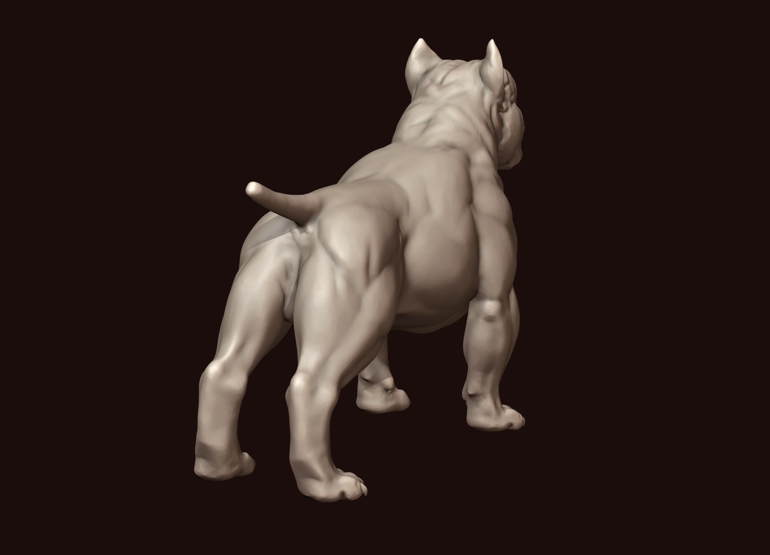 American Bully 3D print model_6