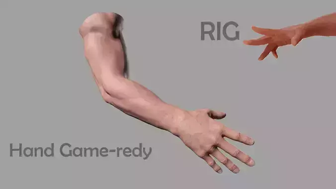 Hand Arms Low-poly 3D model