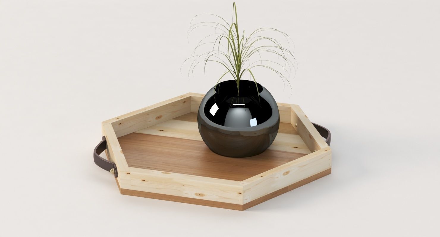 Reclaimed Wooden Hexagon Tray with Interior Planter Centerpiece 3D model_4