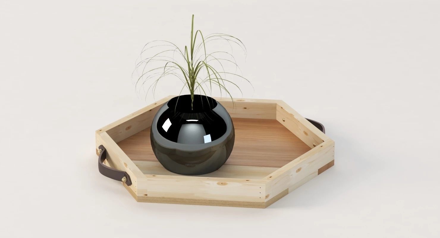 Reclaimed Wooden Hexagon Tray with Interior Planter Centerpiece 3D model_15