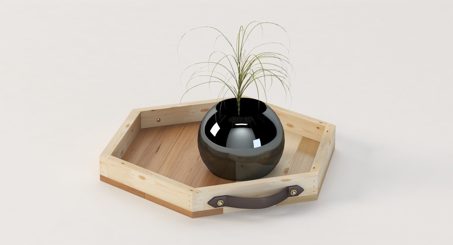 Reclaimed Wooden Hexagon Tray with Interior Planter Centerpiece 3D model_21