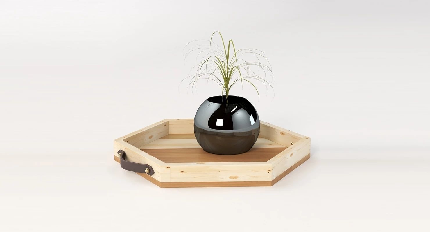 Reclaimed Wooden Hexagon Tray with Interior Planter Centerpiece 3D model_25