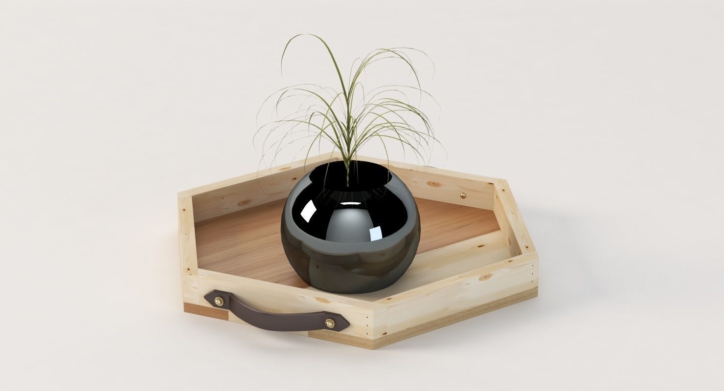 Reclaimed Wooden Hexagon Tray with Interior Planter Centerpiece 3D model_18