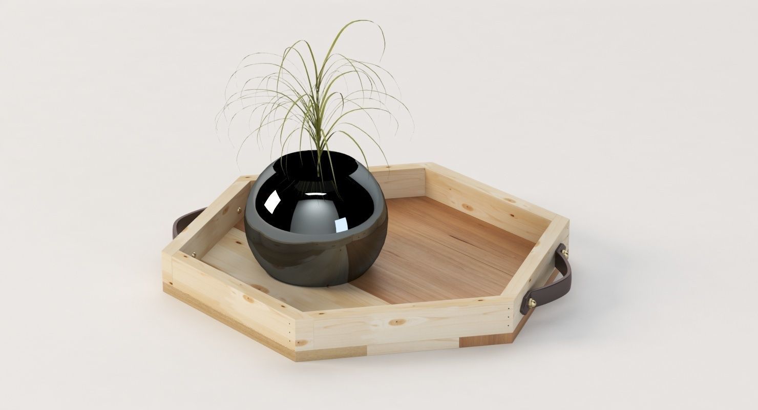 Reclaimed Wooden Hexagon Tray with Interior Planter Centerpiece 3D model_13