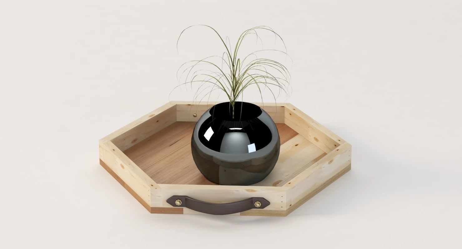 Reclaimed Wooden Hexagon Tray with Interior Planter Centerpiece 3D model_20
