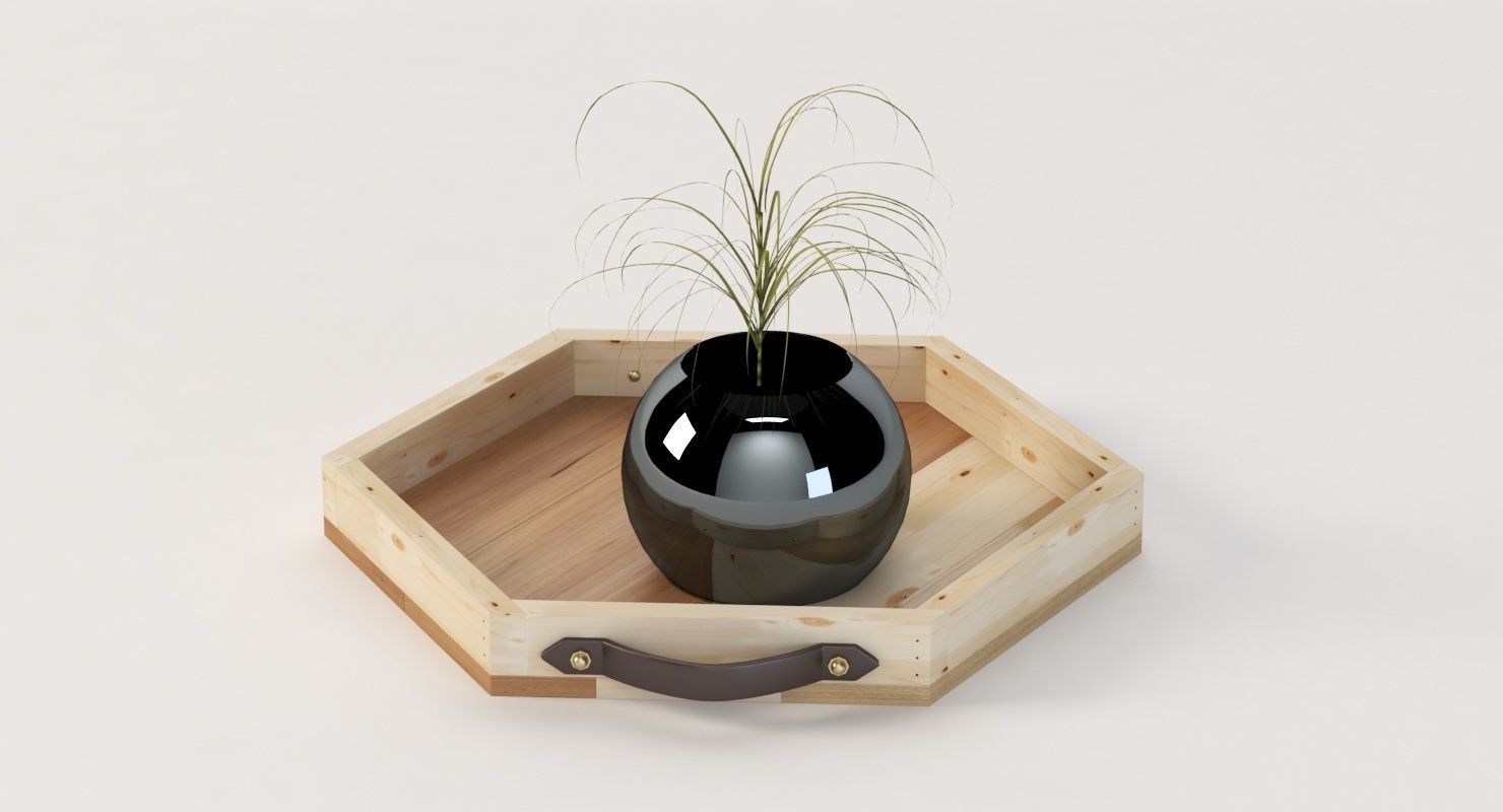 Reclaimed Wooden Hexagon Tray with Interior Planter Centerpiece 3D model_19