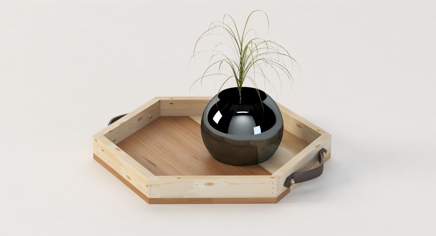 Reclaimed Wooden Hexagon Tray with Interior Planter Centerpiece 3D model_24