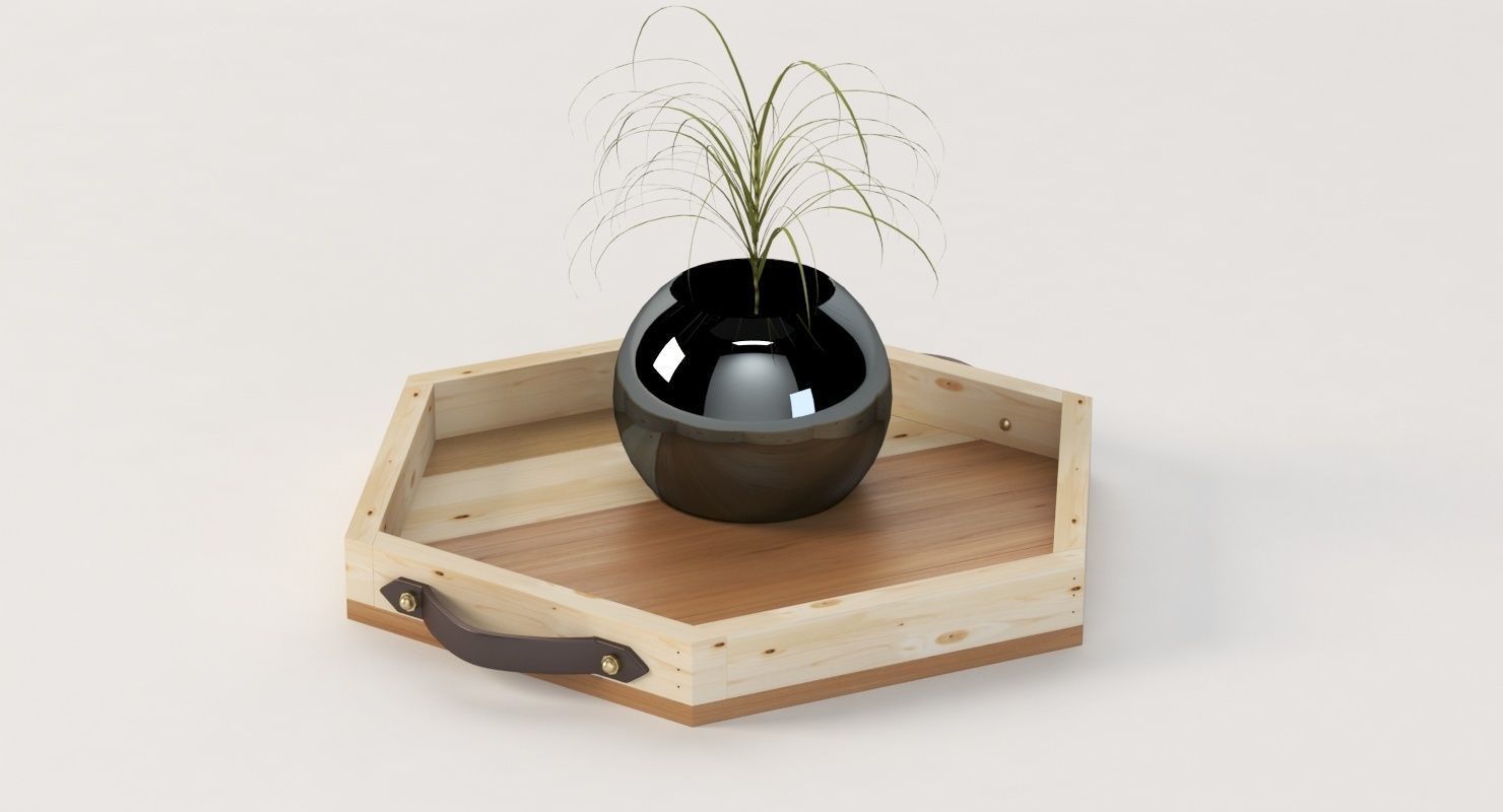Reclaimed Wooden Hexagon Tray with Interior Planter Centerpiece 3D model_6