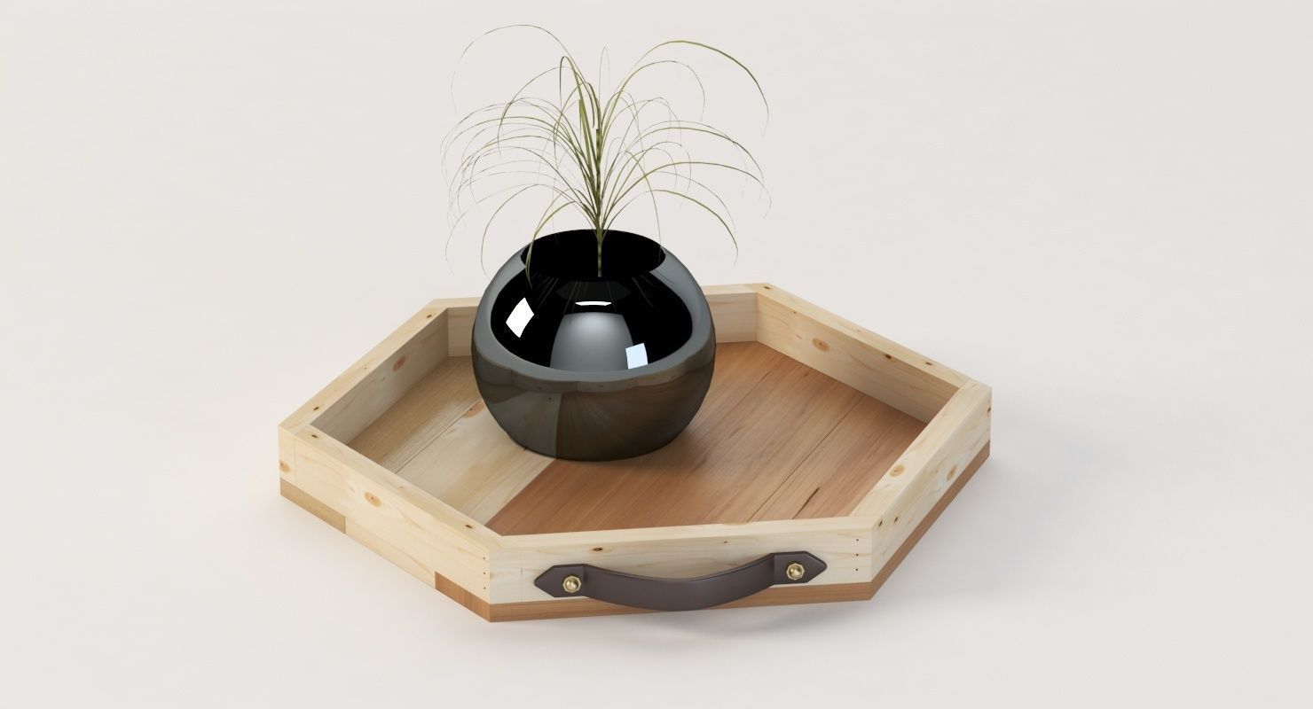 Reclaimed Wooden Hexagon Tray with Interior Planter Centerpiece 3D model_9
