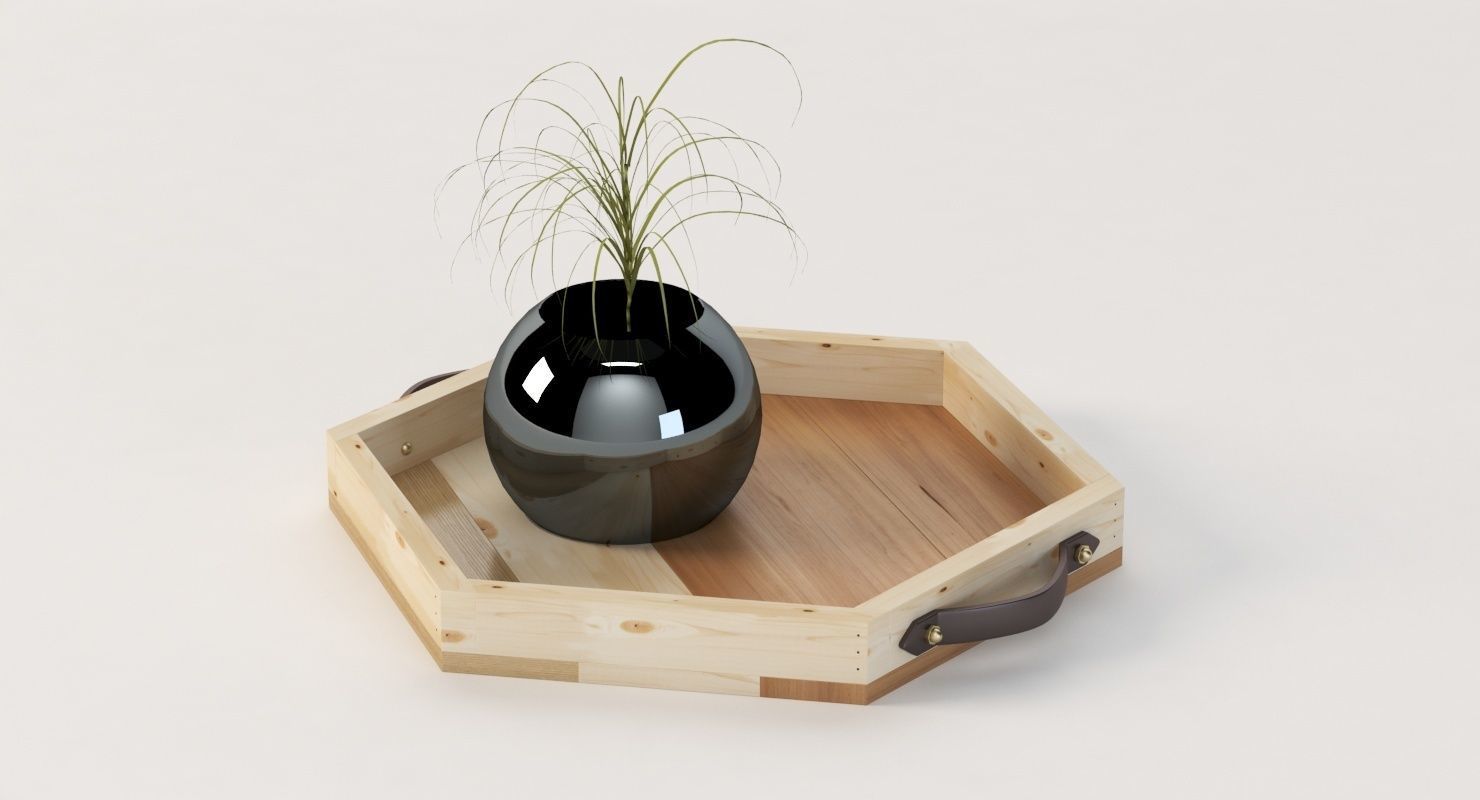 Reclaimed Wooden Hexagon Tray with Interior Planter Centerpiece 3D model_12