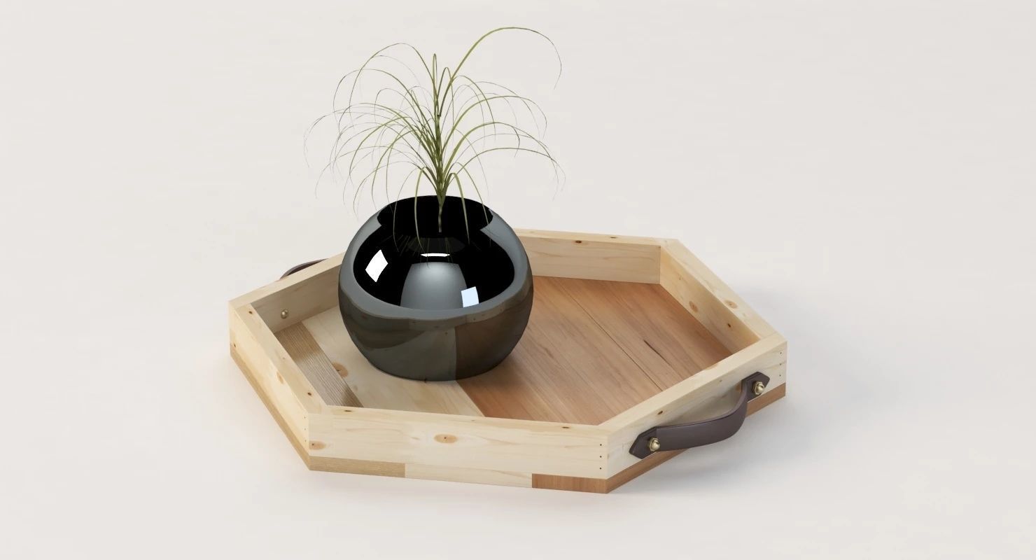 Reclaimed Wooden Hexagon Tray with Interior Planter Centerpiece 3D model_11