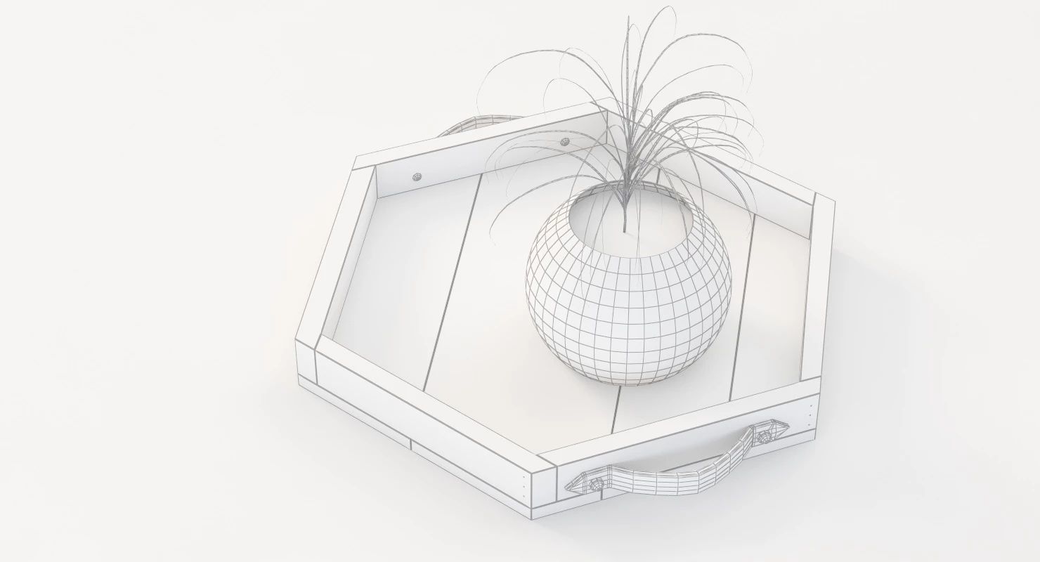 Reclaimed Wooden Hexagon Tray with Interior Planter Centerpiece 3D model_28