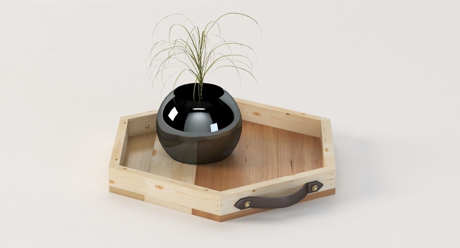 Reclaimed Wooden Hexagon Tray with Interior Planter Centerpiece 3D model_10