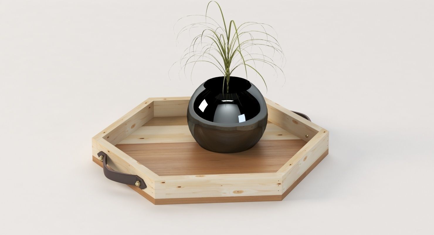 Reclaimed Wooden Hexagon Tray with Interior Planter Centerpiece 3D model_5