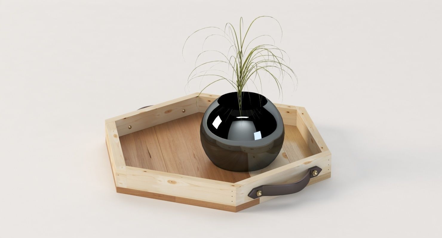 Reclaimed Wooden Hexagon Tray with Interior Planter Centerpiece 3D model_22