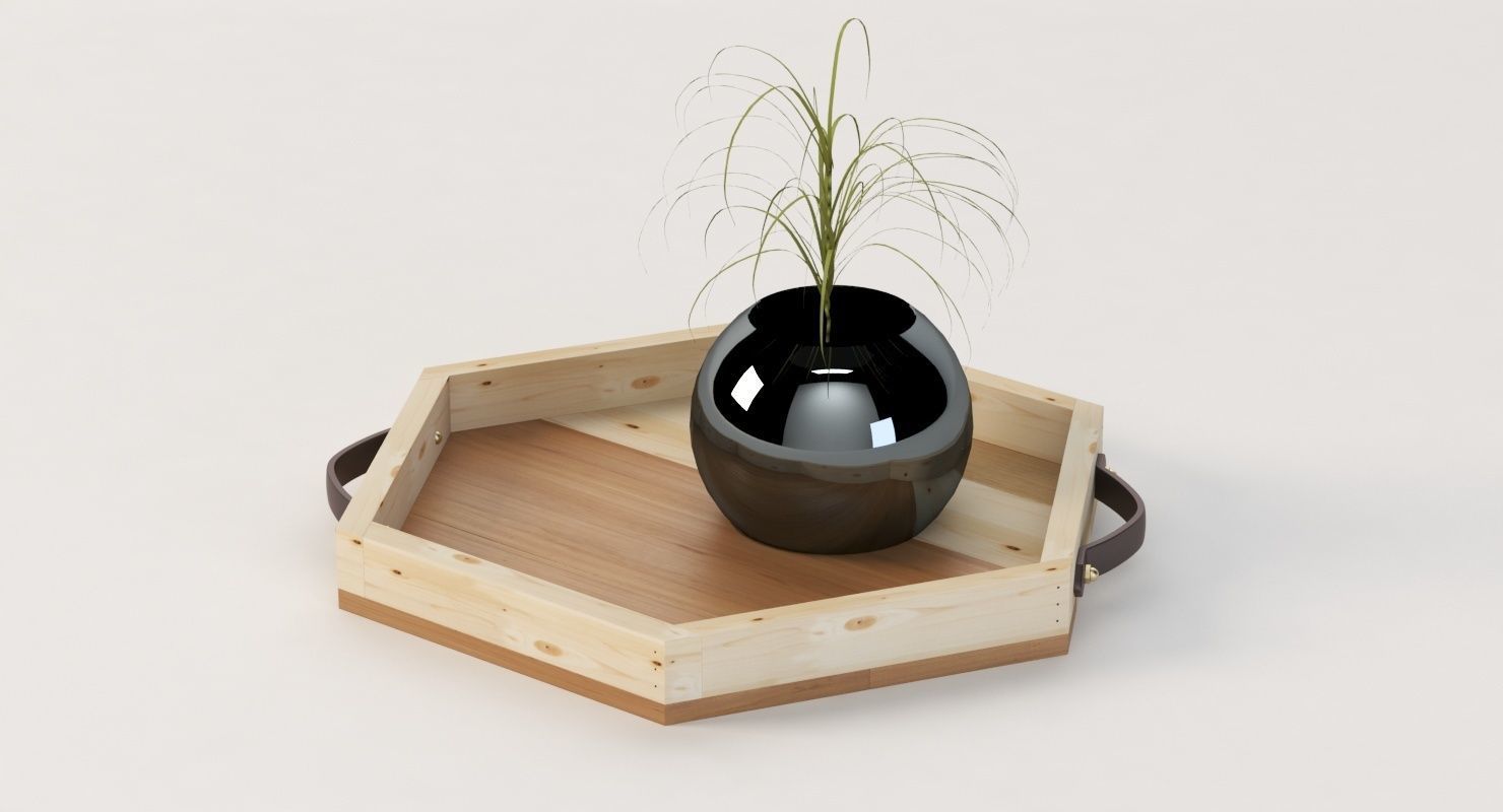 Reclaimed Wooden Hexagon Tray with Interior Planter Centerpiece 3D model_2