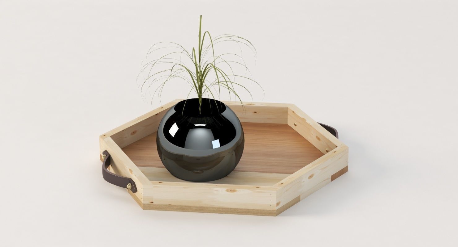 Reclaimed Wooden Hexagon Tray with Interior Planter Centerpiece 3D model_16