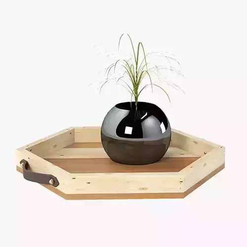 Reclaimed Wooden Hexagon Tray with Interior Planter Centerpiece