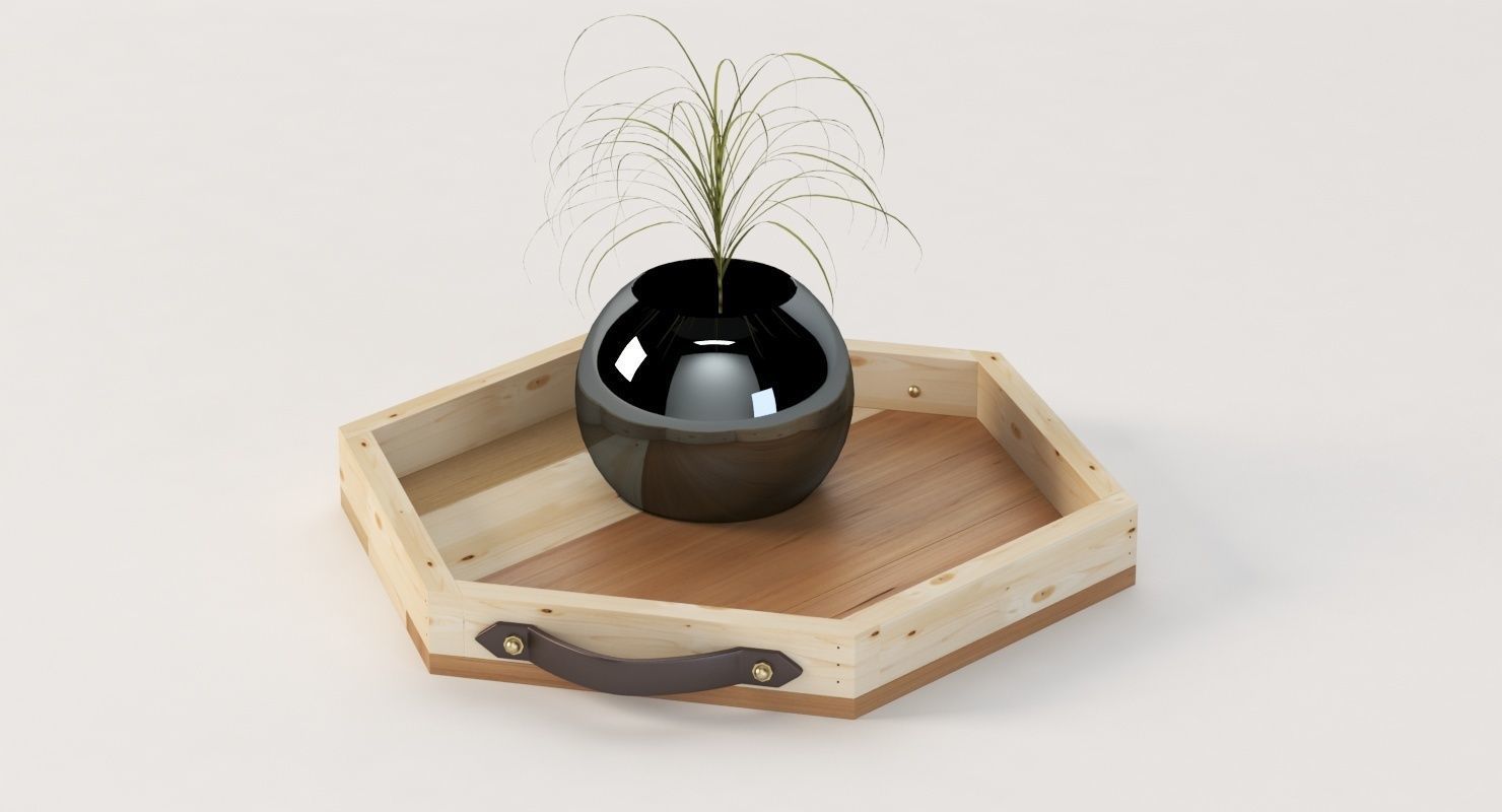 Reclaimed Wooden Hexagon Tray with Interior Planter Centerpiece 3D model_8