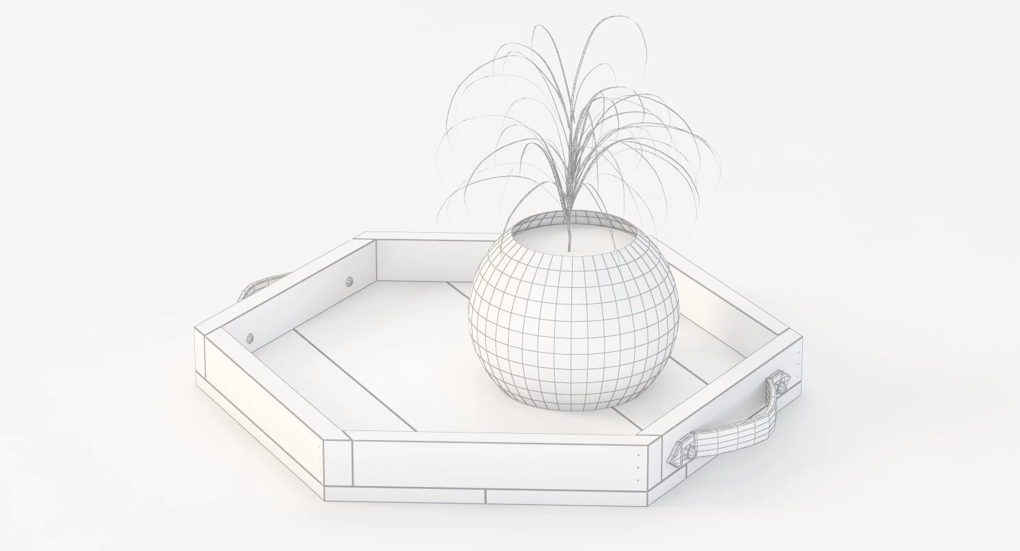 Reclaimed Wooden Hexagon Tray with Interior Planter Centerpiece 3D model_27